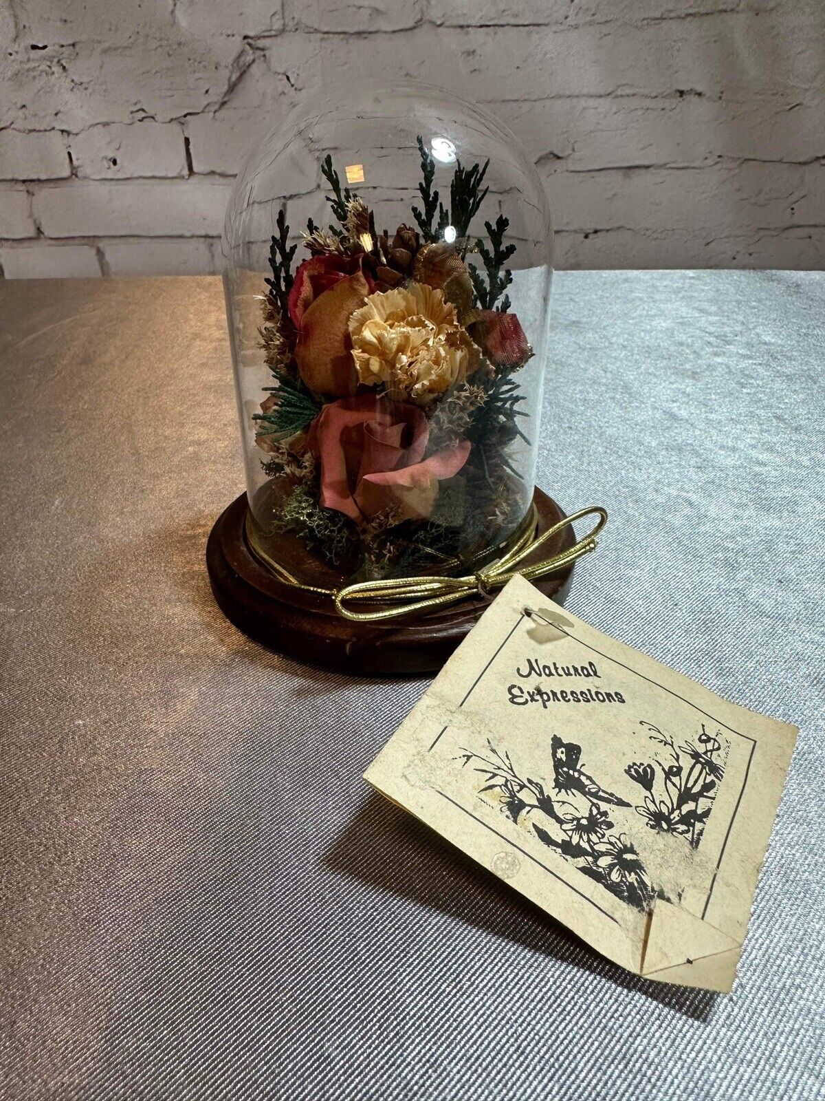 Natural Expressions Jar Cloche Display Died Flowers Plants TNO VHD