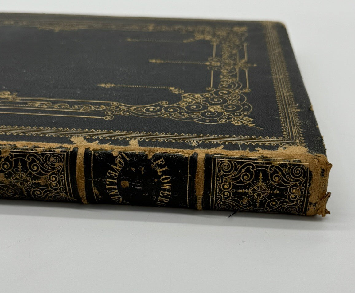 1837 ANTIQUE Flowers of Loveliness Twelve Groups of Female Figures Victorian Era