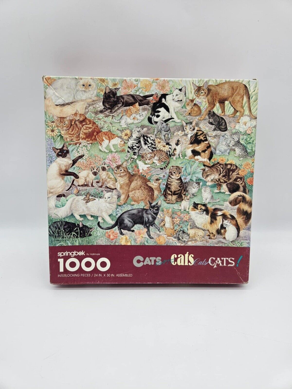 VTG Springbok Cats Cats Cats Cats 1000 Piece Jigsaw Puzzle 24" x 30" PZL6117