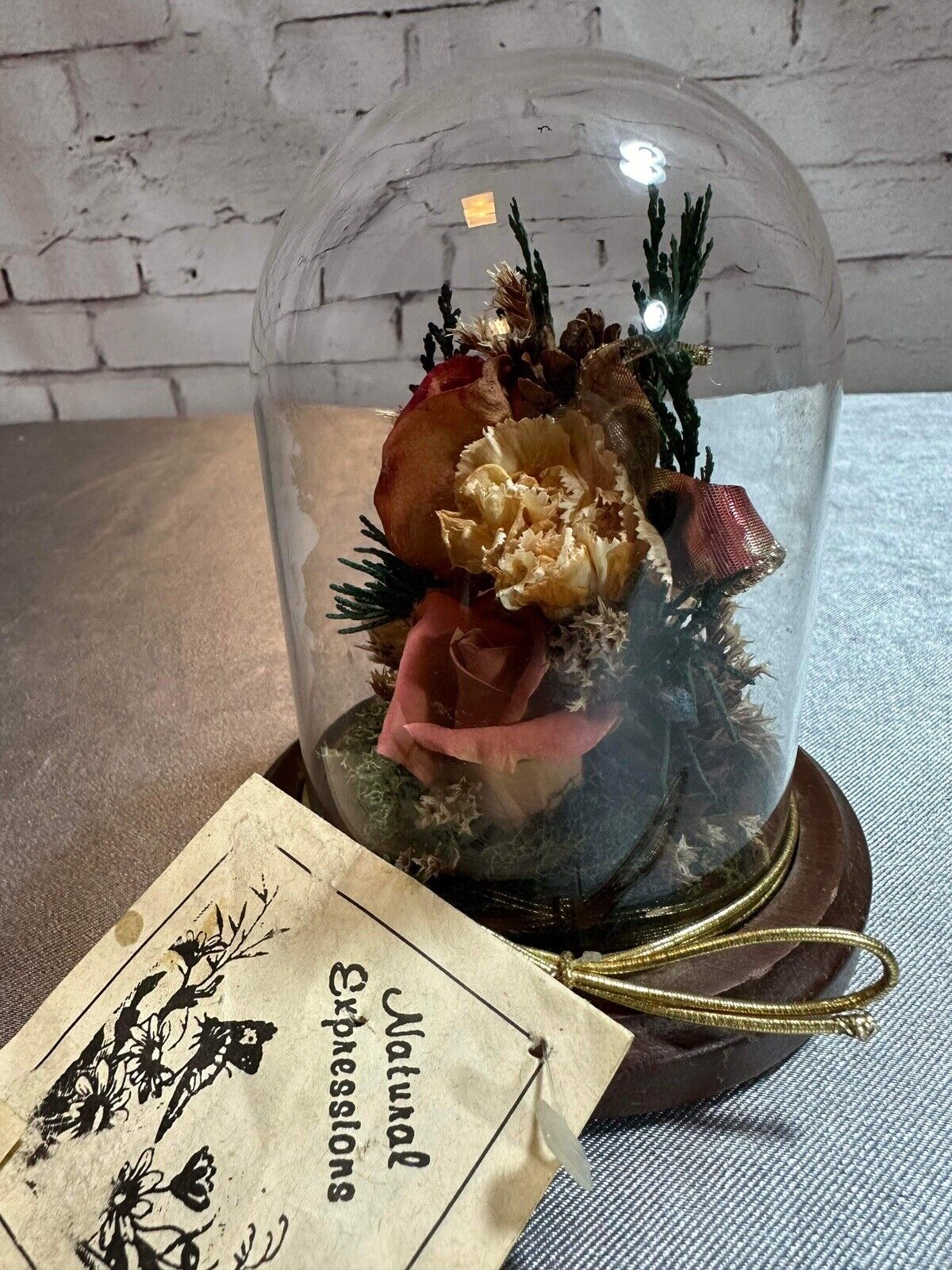 Natural Expressions Jar Cloche Display Died Flowers Plants TNO VHD