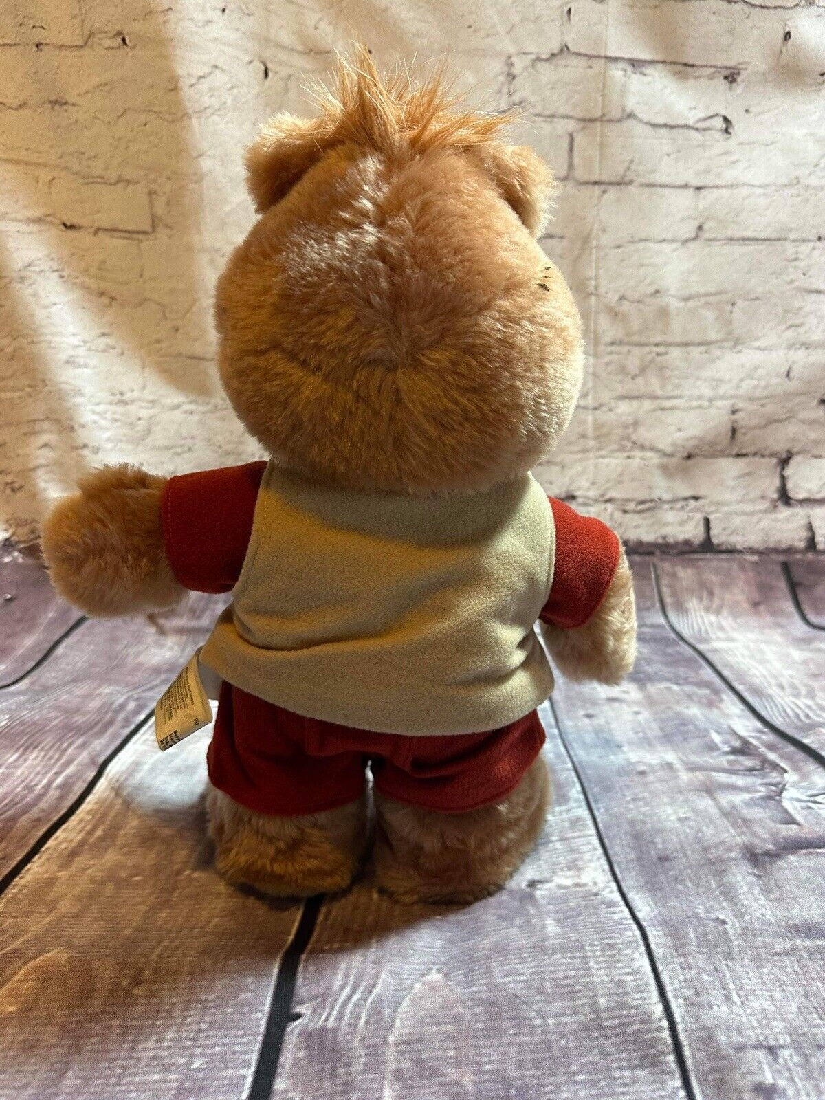 HUGE Original Teddy Ruxpin Lot Clothing, Tapes,Books,Figures & MORE! VCTY