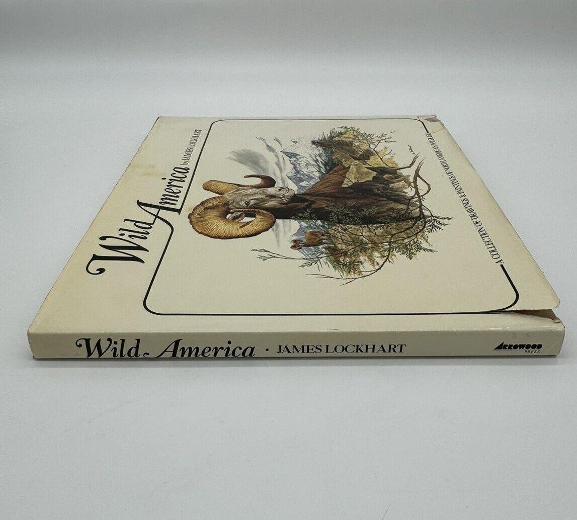 WILD AMERICA Portrayed by James Lockhart - 1979 - Wildlife, outdoors - Paintings