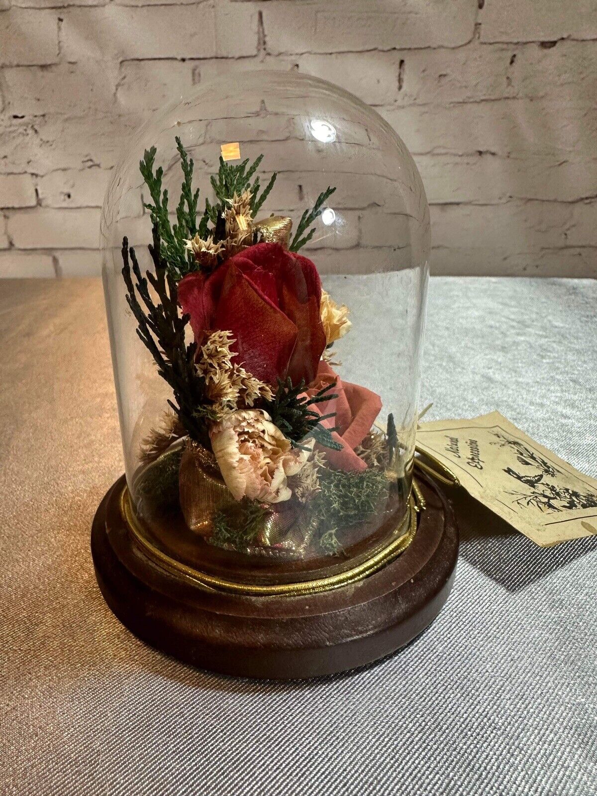 Natural Expressions Jar Cloche Display Died Flowers Plants TNO VHD