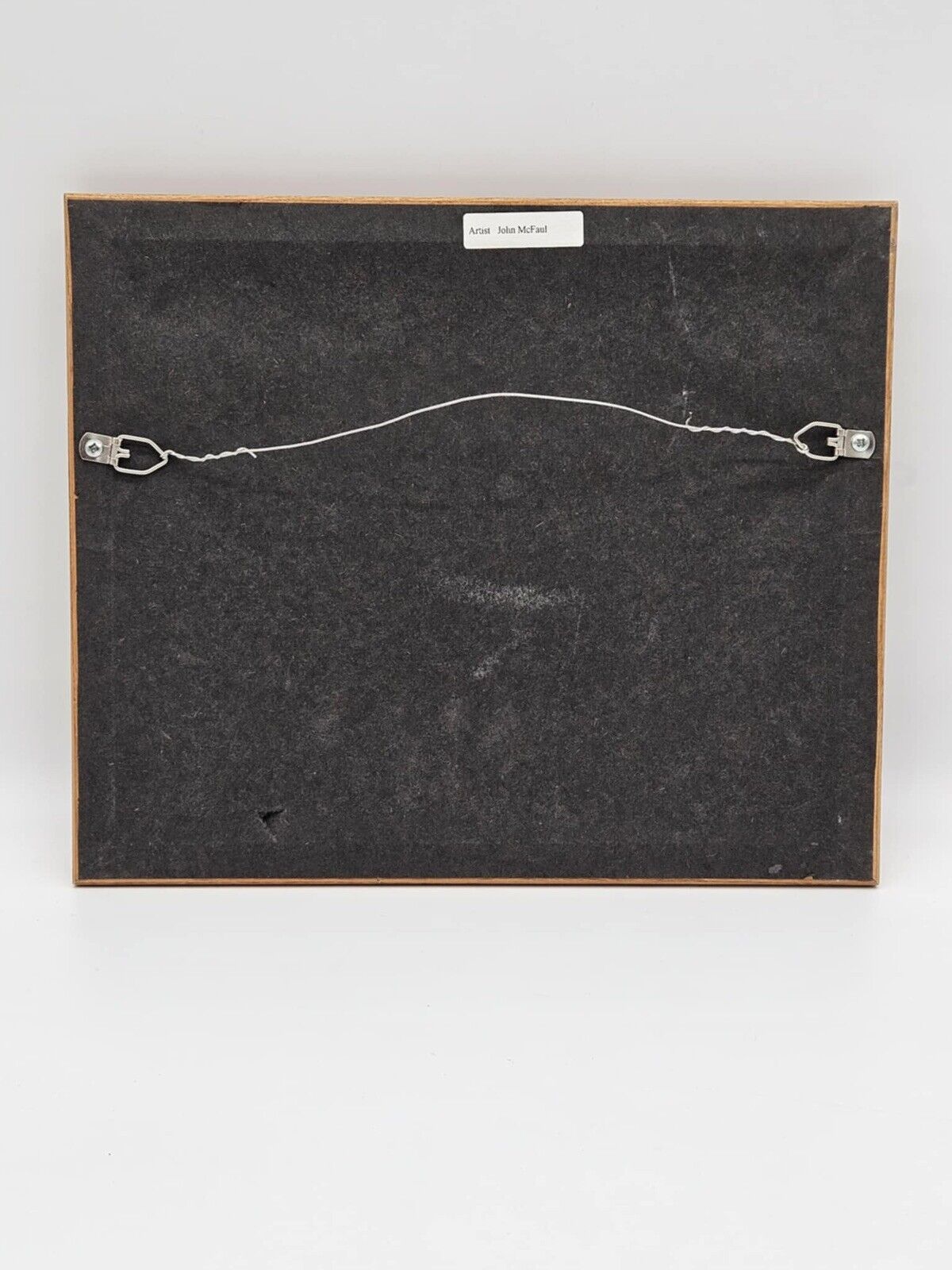 TWIN II LOONS by John McFaul FRAMED PRINT PICTURE Loons