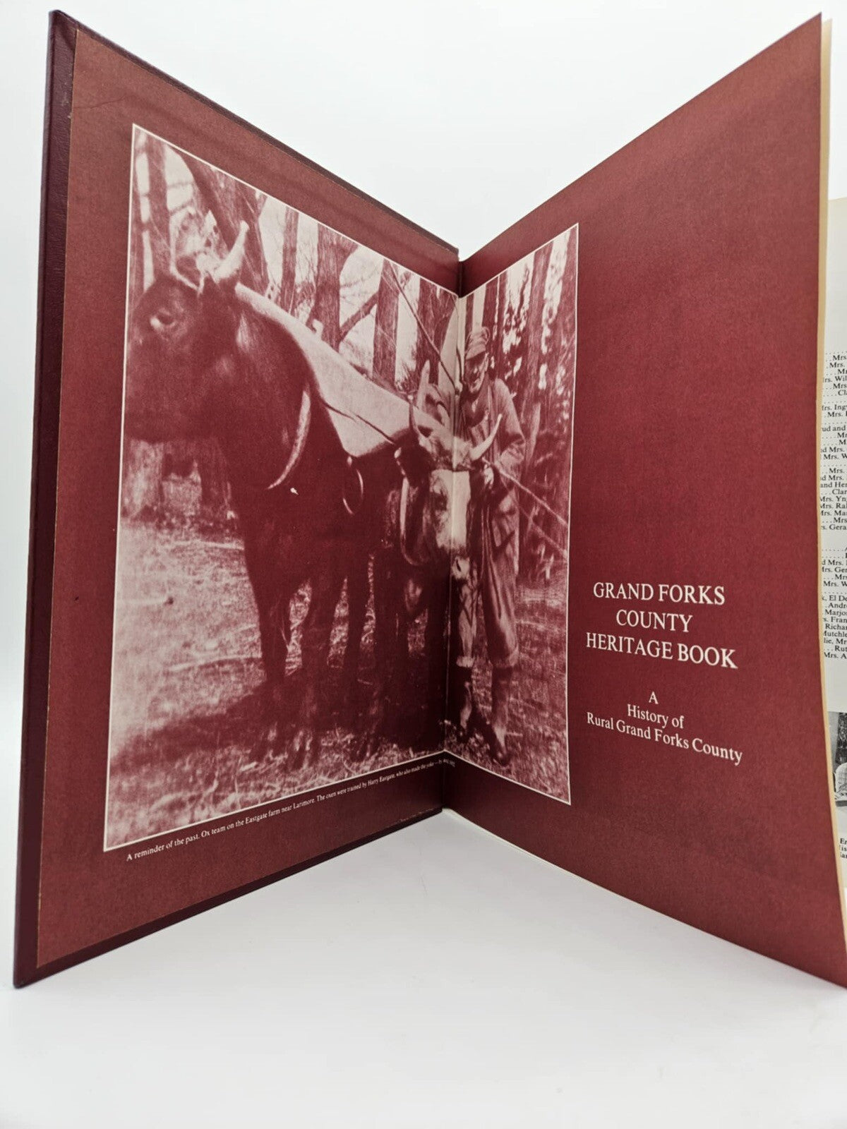 1976 BARNES COUNTY HISTORY NORTH DAKOTA HB BOOK PHOTOS STORIES ND