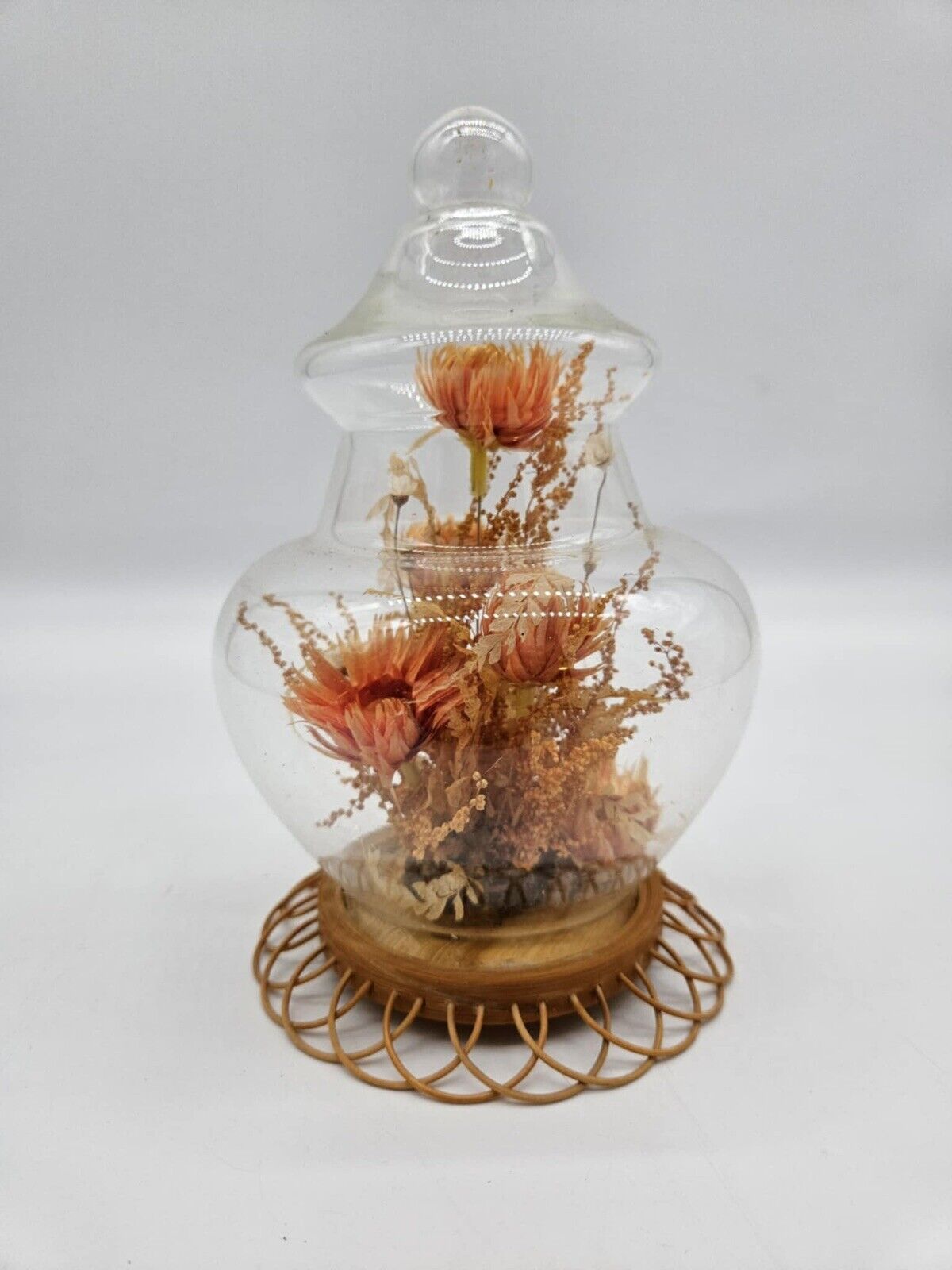 Vintage Floral Cloche Dome Freeze Dried VHD