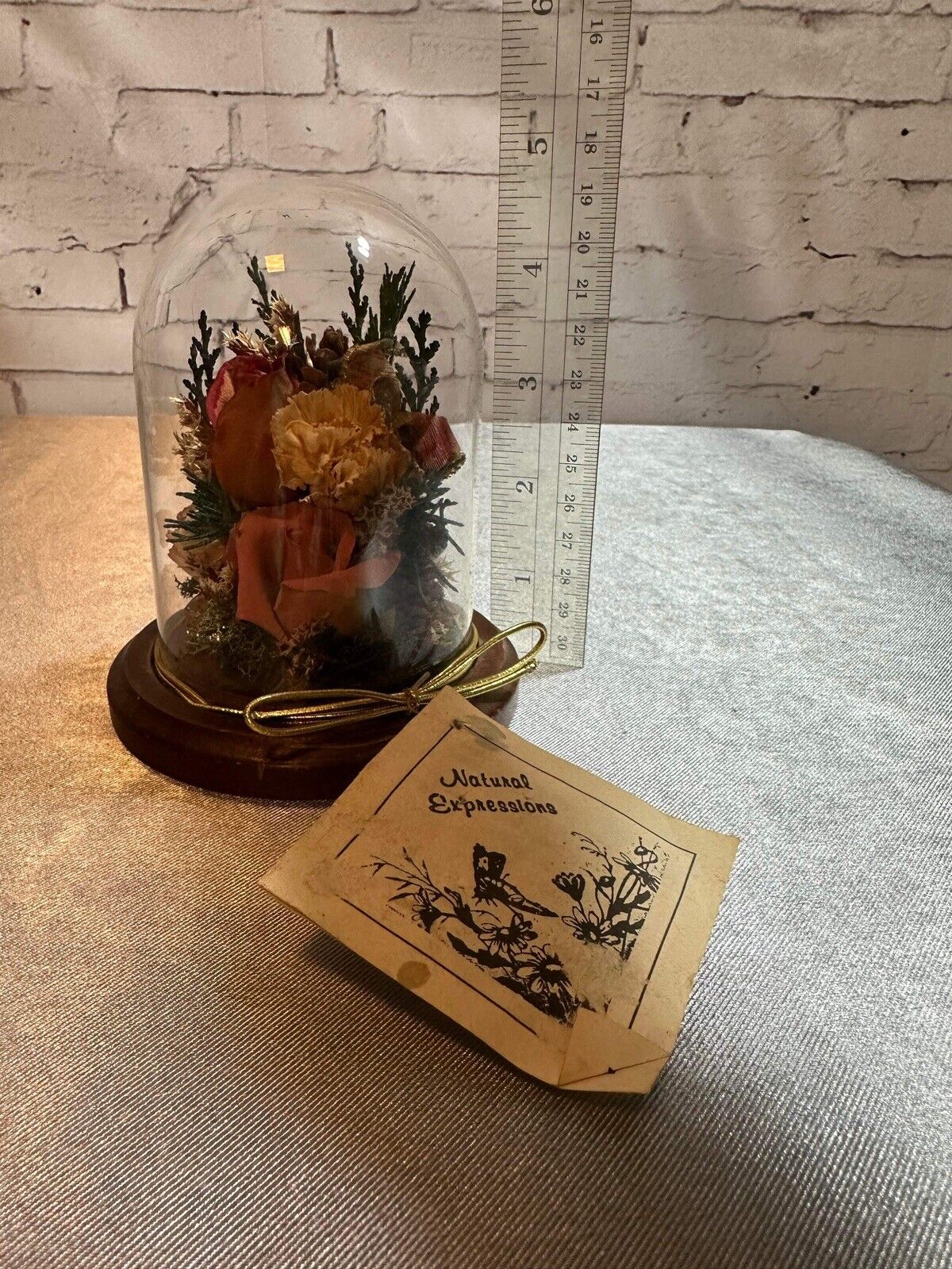 Natural Expressions Jar Cloche Display Died Flowers Plants TNO VHD
