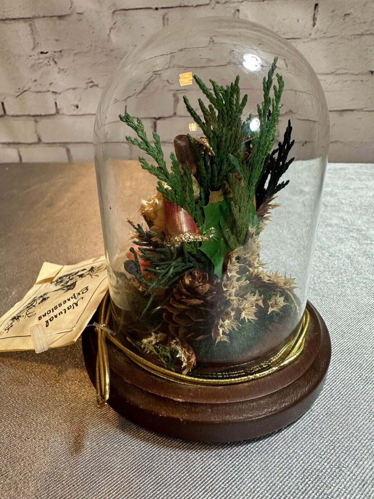 Natural Expressions Jar Cloche Display Died Flowers Plants TNO VHD