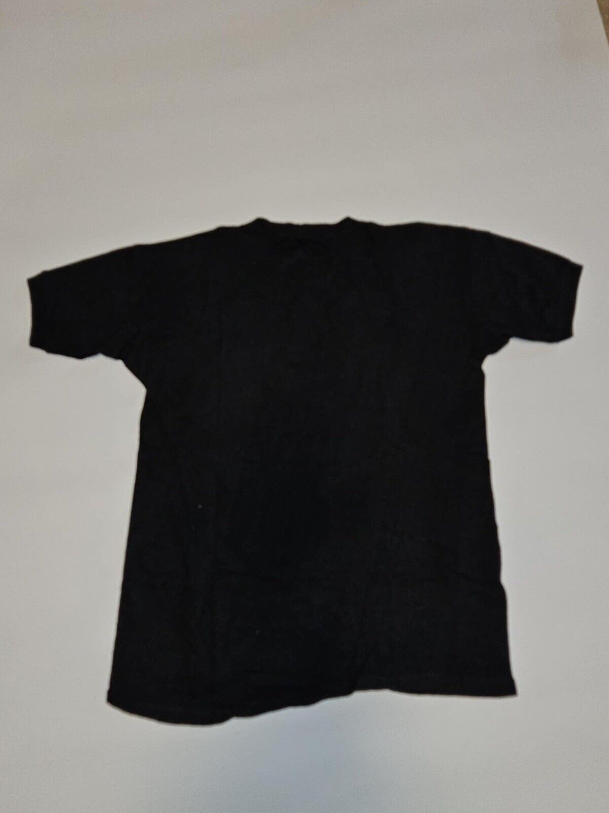 1970’s Vintage Boston Concert tour t-shirt Hanes RARE size L (JB01)