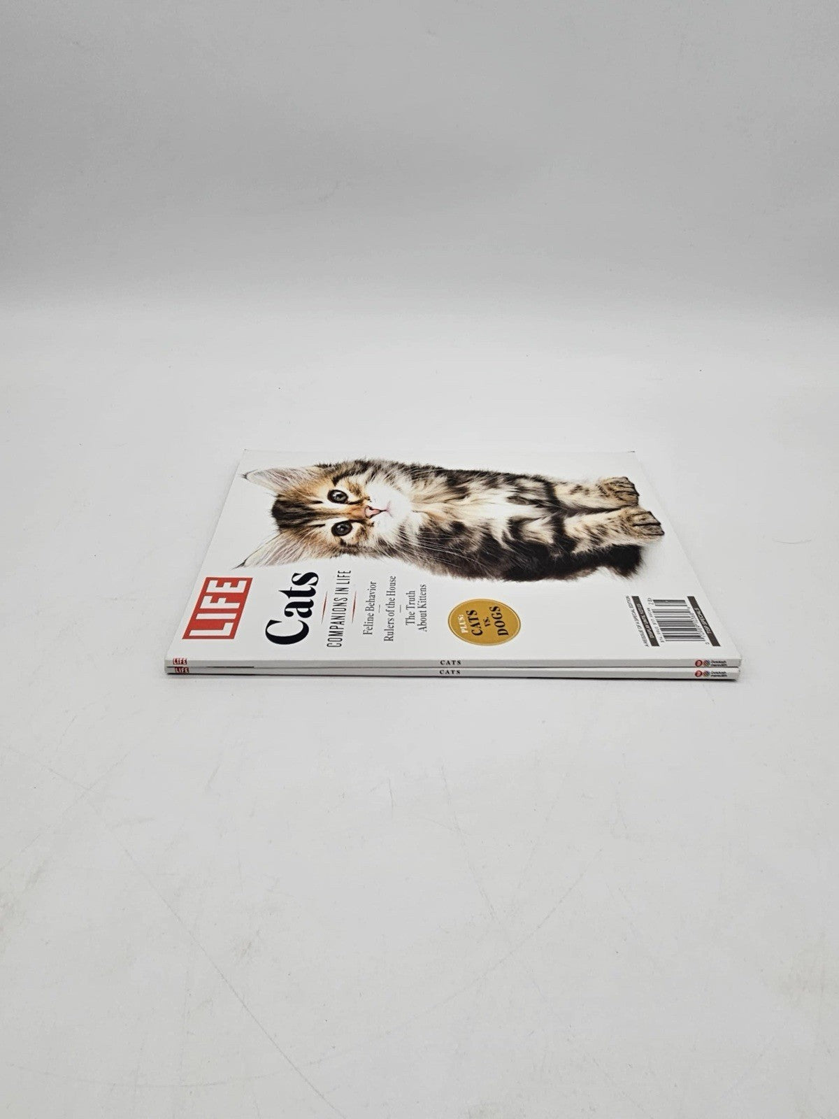 CATS Companions in Life Feline Behavior Rulers of the House Truth About Kitt M13