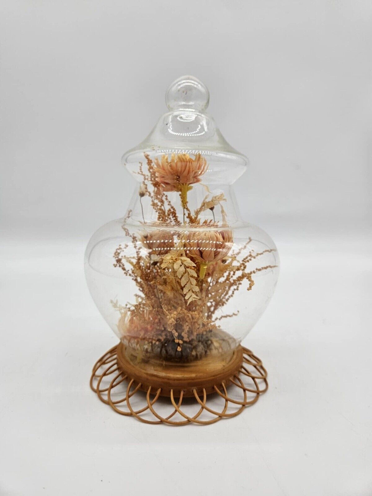 Vintage Floral Cloche Dome Freeze Dried VHD
