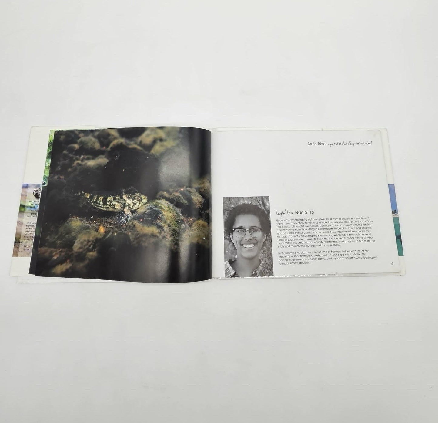 Under The Surface A Photographic Journey Of Hope And Healing Hardcover 2017