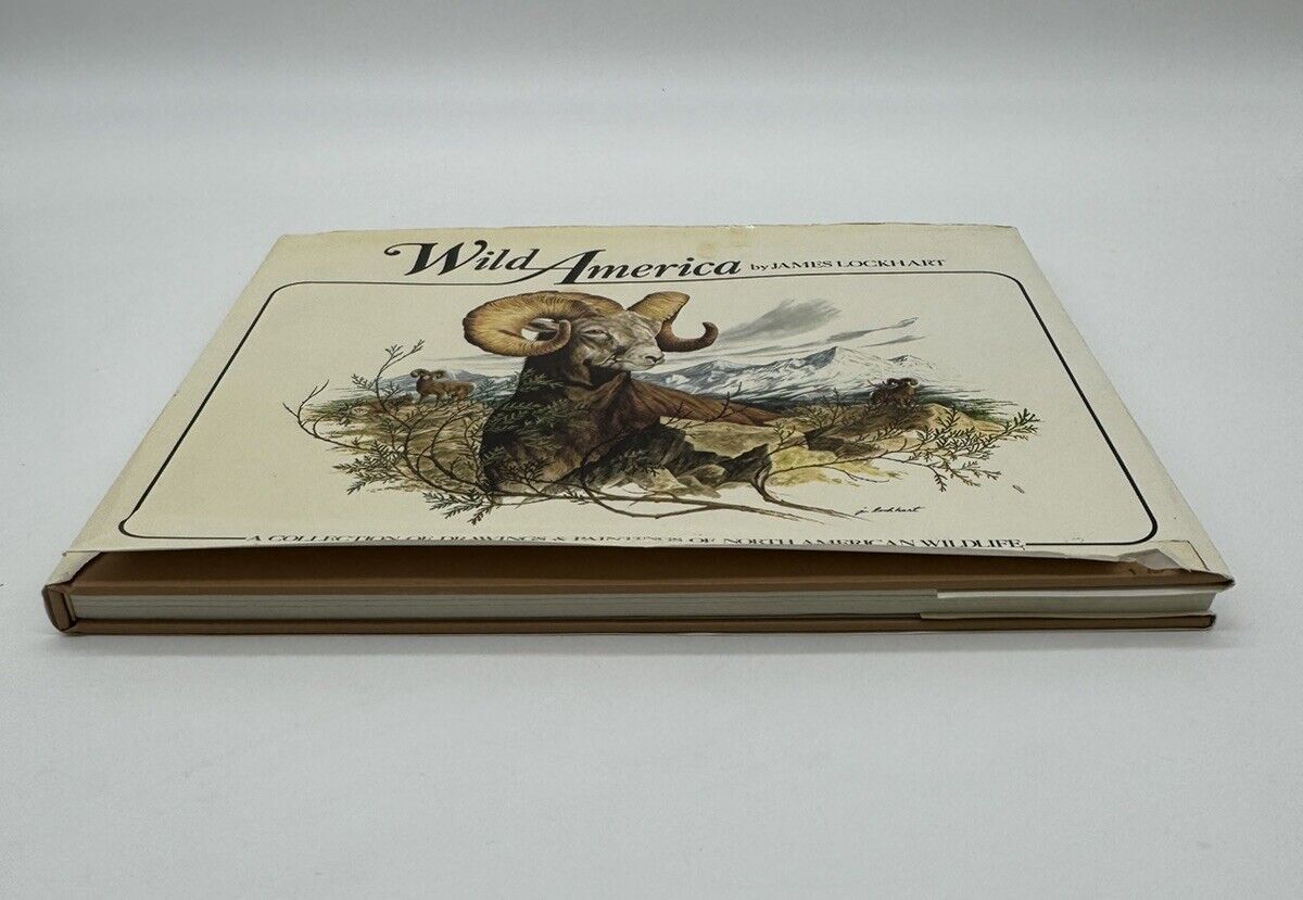 WILD AMERICA Portrayed by James Lockhart - 1979 - Wildlife, outdoors - Paintings
