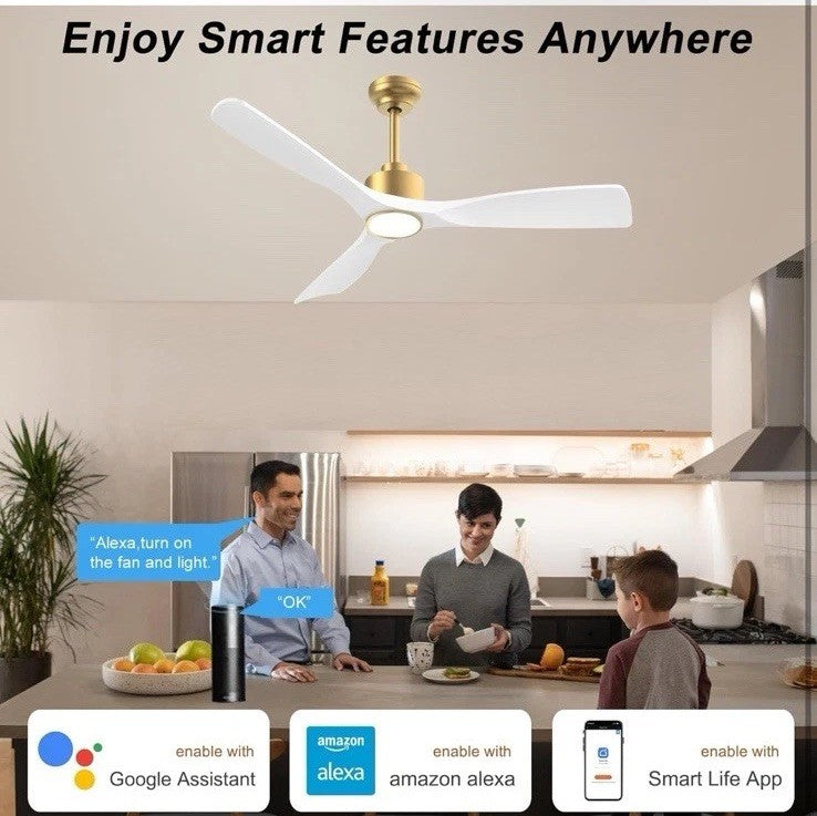 52 Inch ETL Listed Indoor Outdoor Smart Ceiling Fan