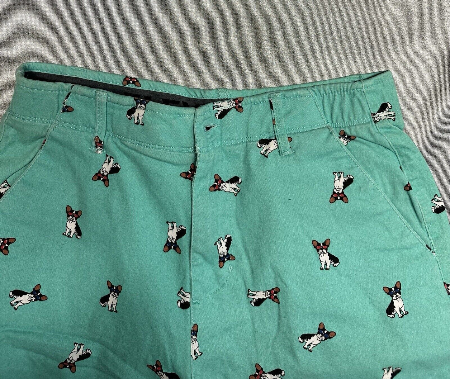 Plugg Flex Mens Casual Shorts Size 29 Teal French Dog Flat Front Waist MCLTH 001