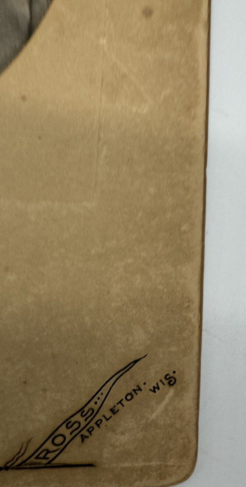 CIRCA 1890'S CABINET CARD Featuring 2 Women Victorian Dress ~ Ross Appleton, WI