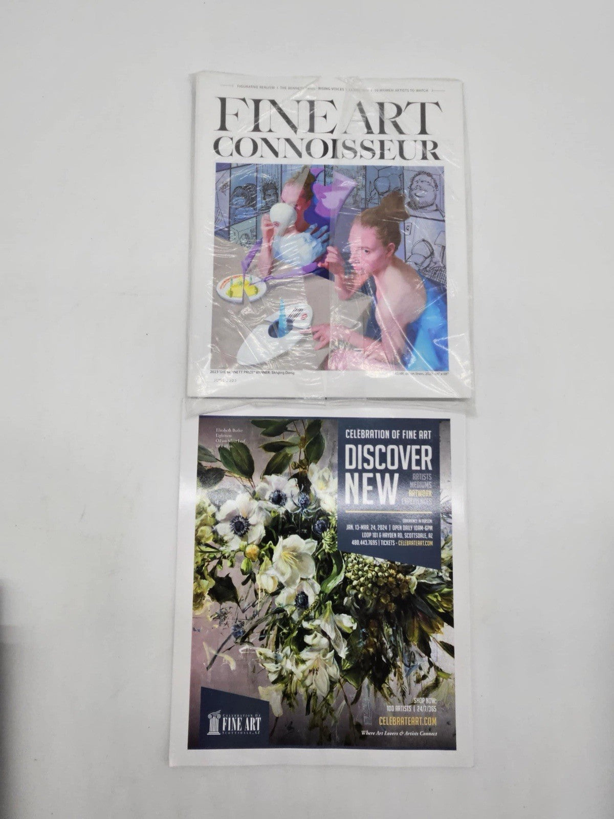 Fine Art Connoisseur Magazines
