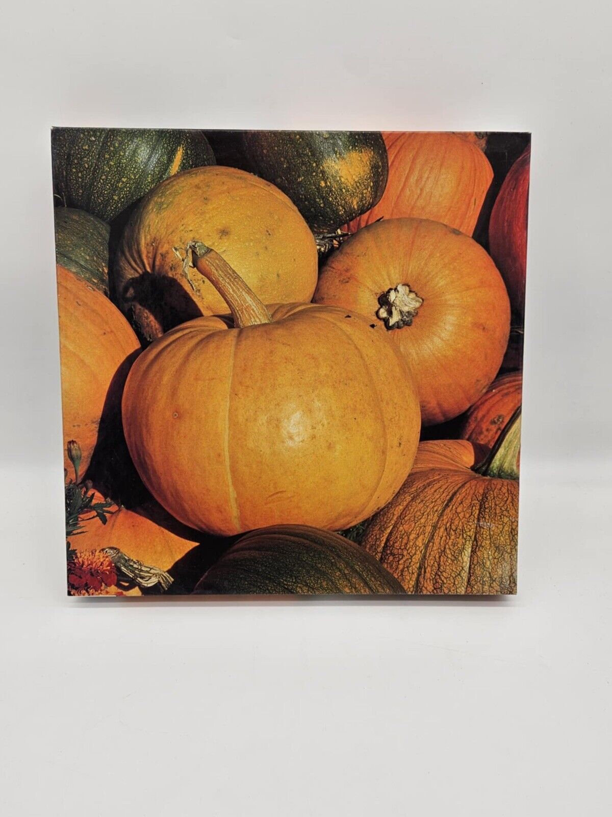 Vintage Warren "Punkins" Pumpkin Themed 550 Piece Jigsaw Puzzle New Sealed