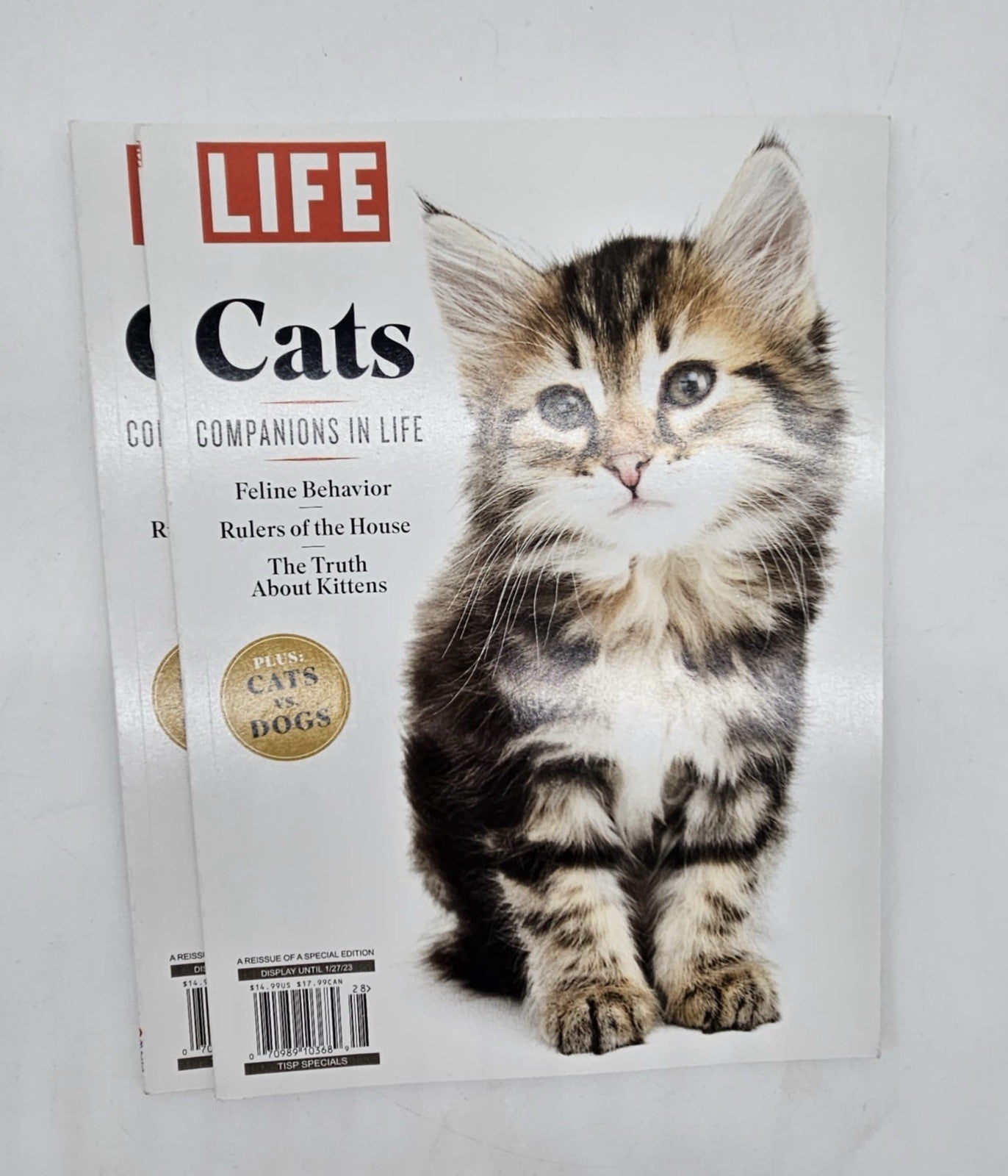 CATS Companions in Life Feline Behavior Rulers of the House Truth About Kitt M13