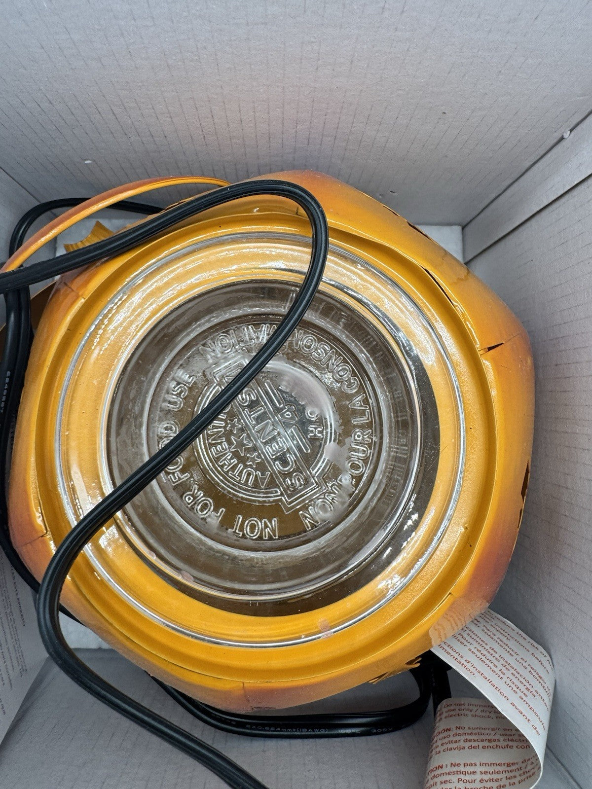 Scentsy Paranormal Pumpkin Halloween Warmer limited Edition