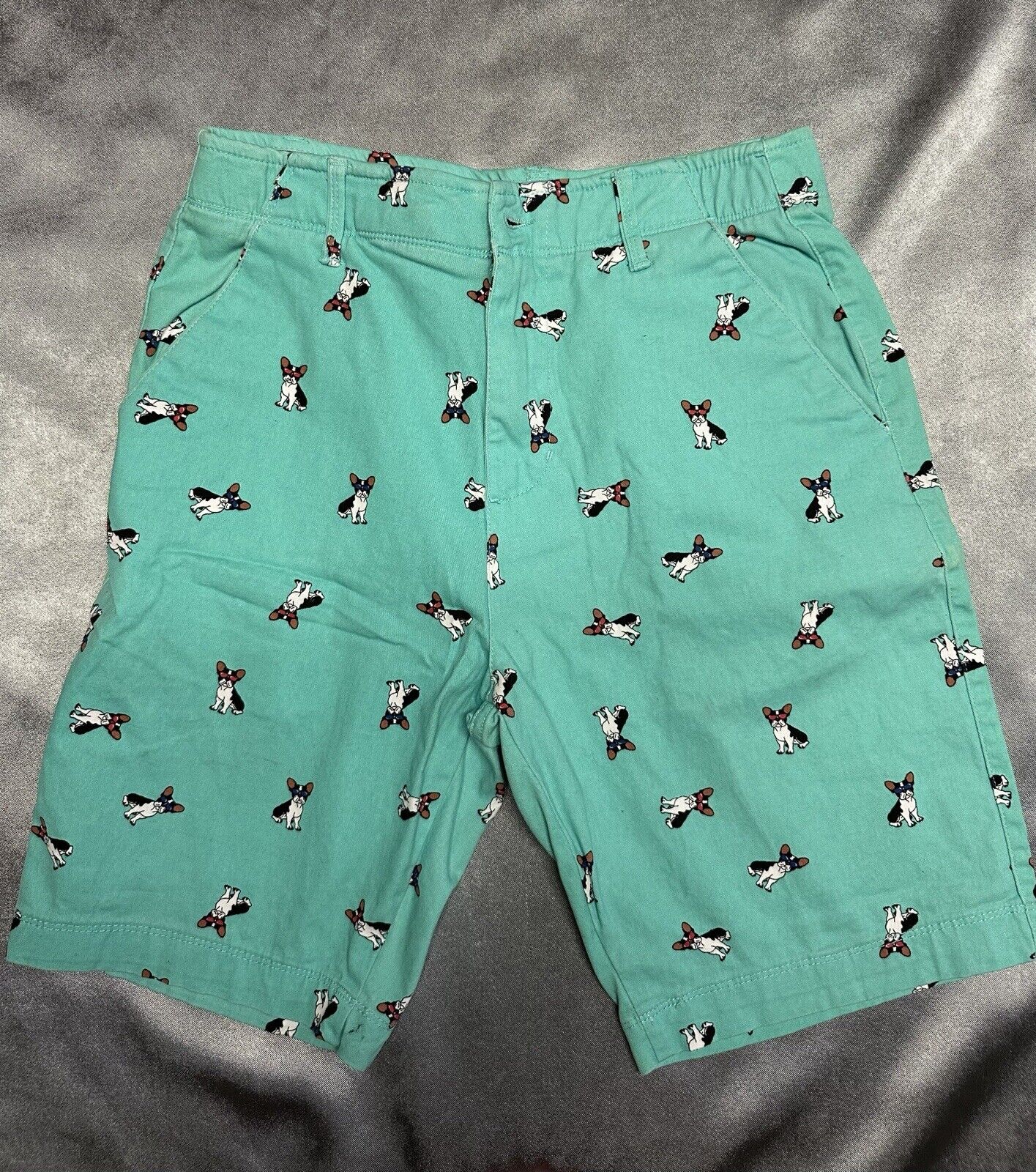 Plugg Flex Mens Casual Shorts Size 29 Teal French Dog Flat Front Waist MCLTH 001