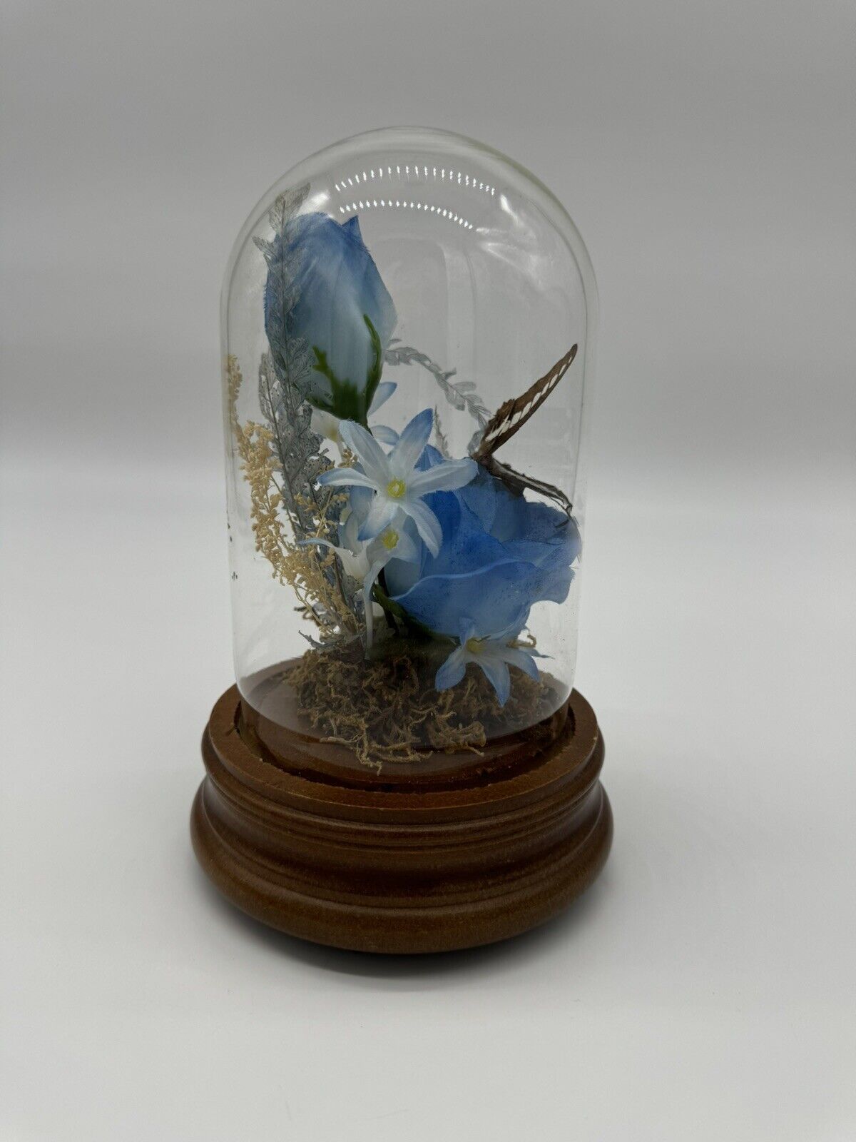 Vintage Taxidermy Butterfly Terrarium Light Up Music Box Glass Dome
