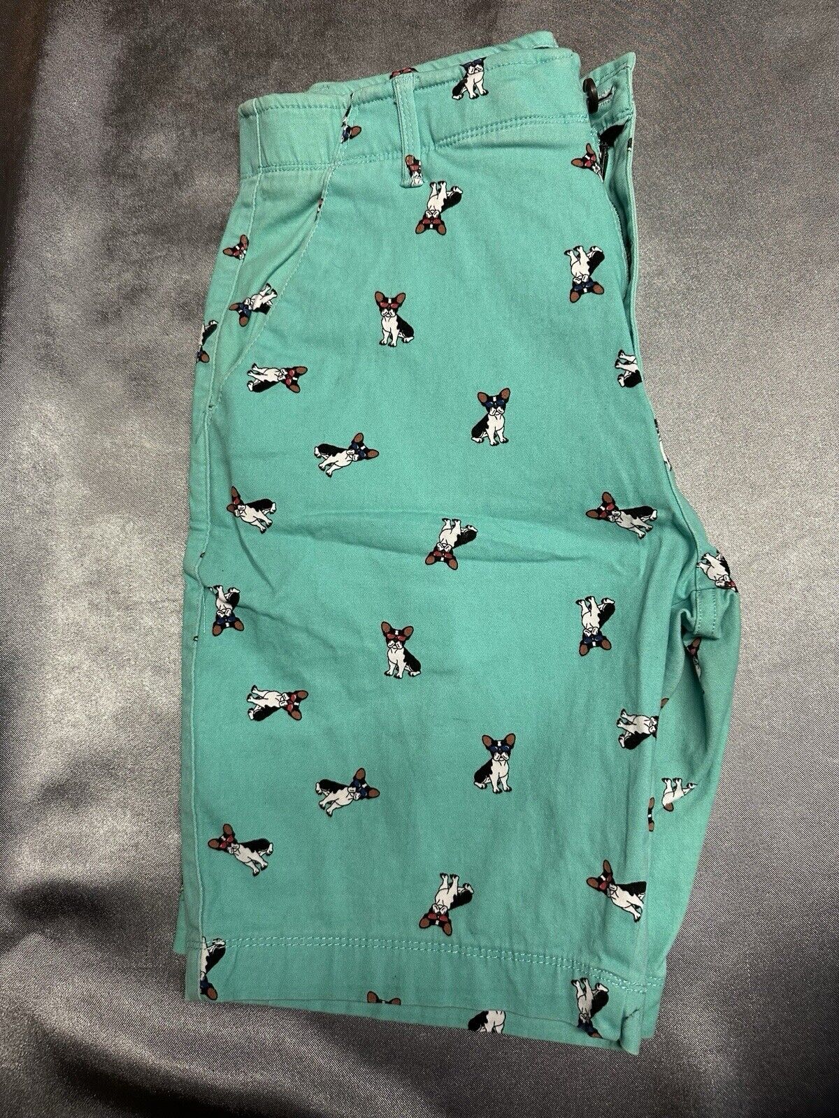 Plugg Flex Mens Casual Shorts Size 29 Teal French Dog Flat Front Waist MCLTH 001