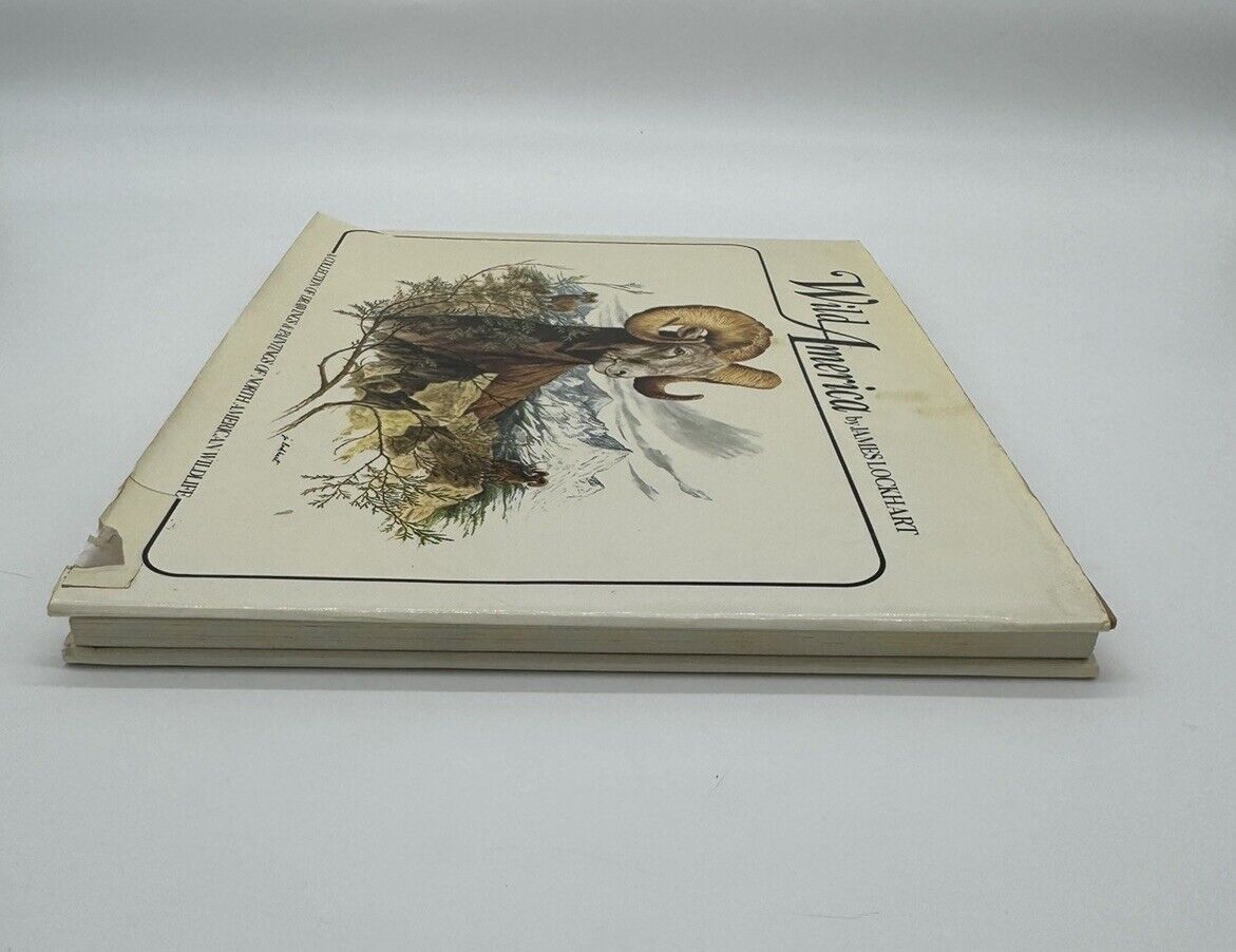 WILD AMERICA Portrayed by James Lockhart - 1979 - Wildlife, outdoors - Paintings