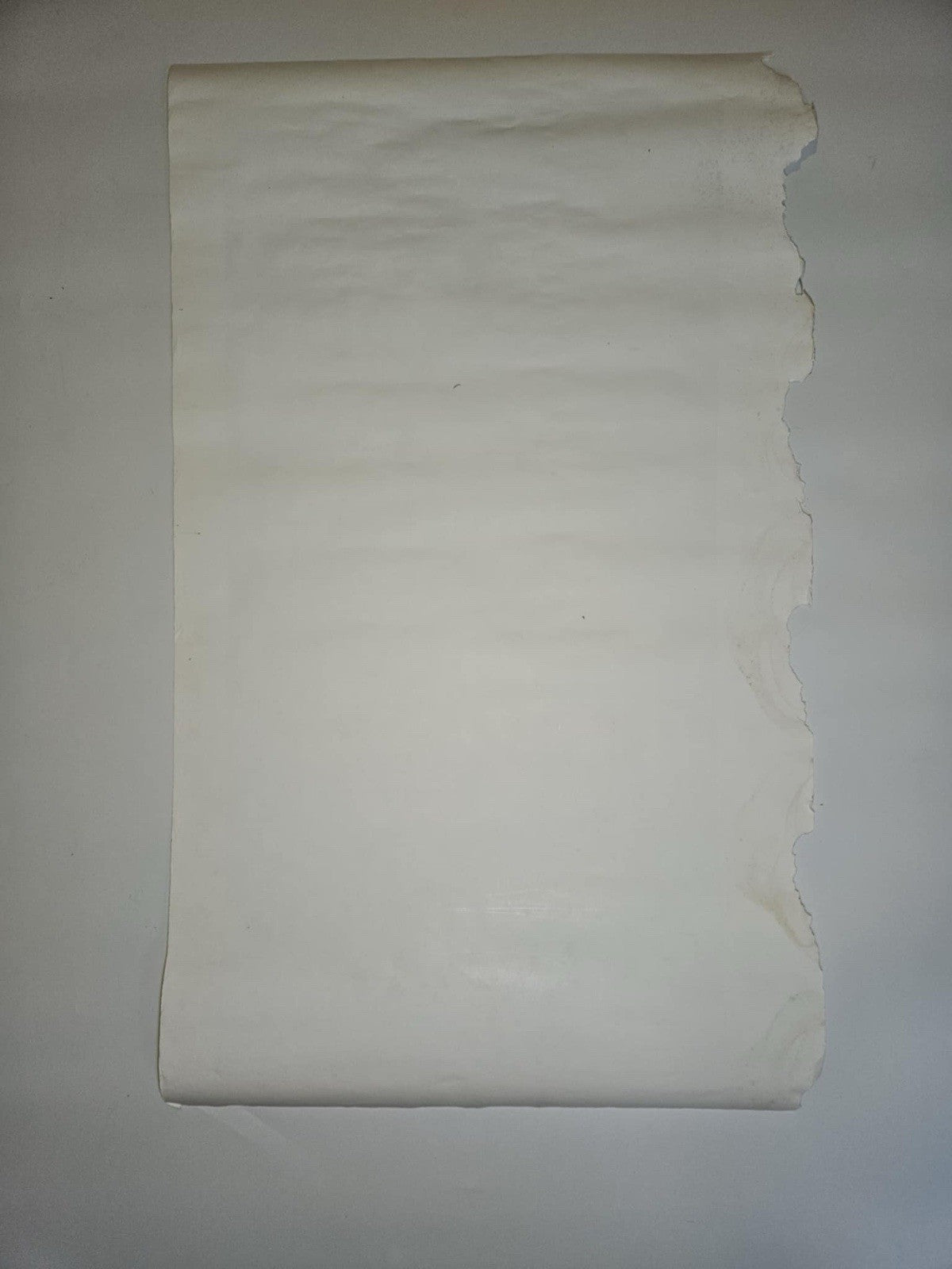 Nascar 2007 Pit Row Prints Artist E. Soller Signed # 1088/5000 38" x 24"