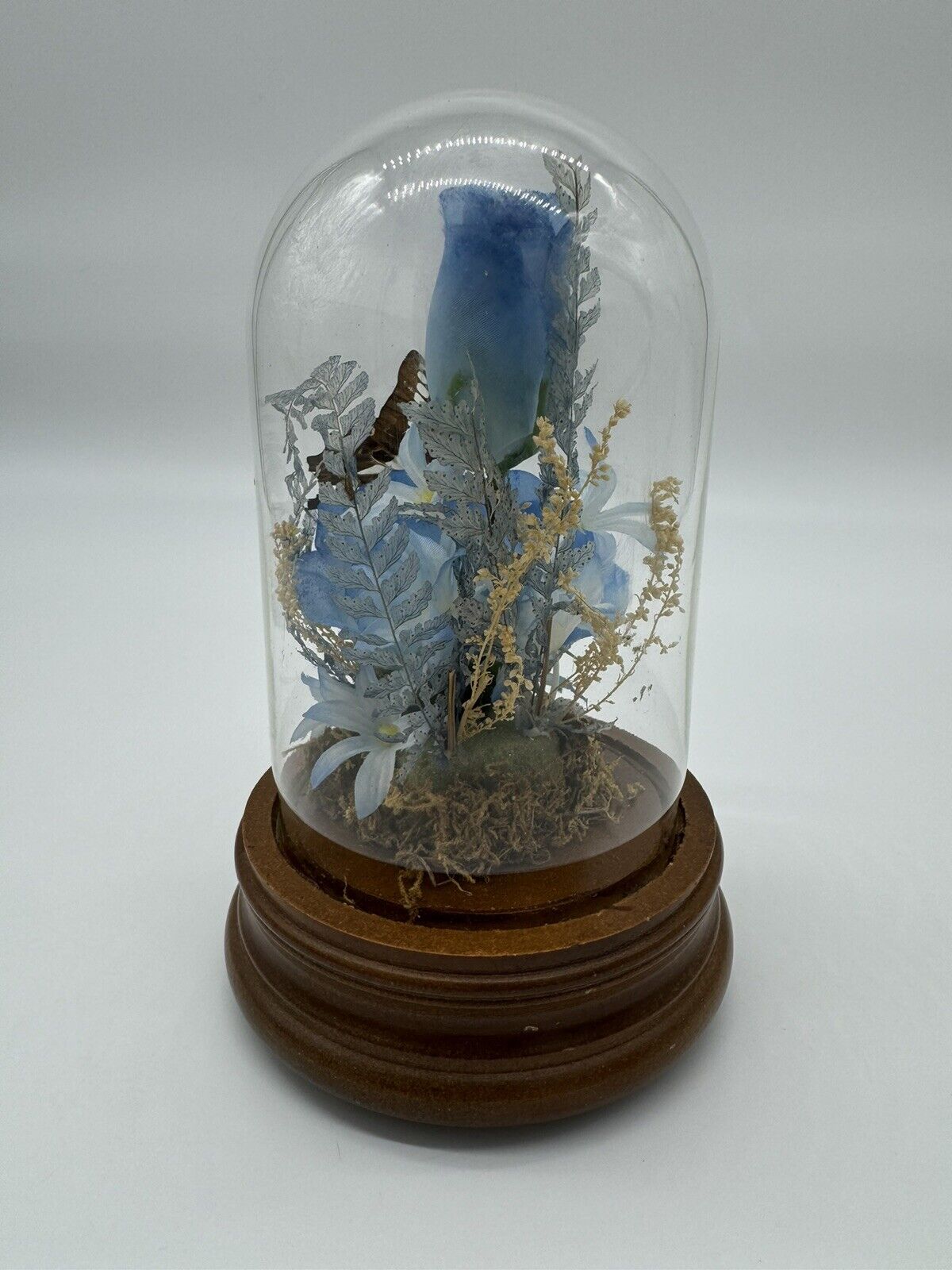Vintage Taxidermy Butterfly Terrarium Light Up Music Box Glass Dome