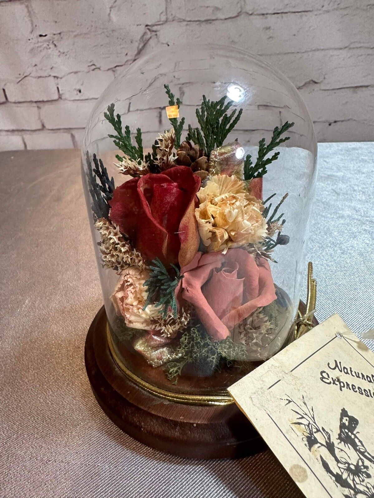 Natural Expressions Jar Cloche Display Died Flowers Plants TNO VHD