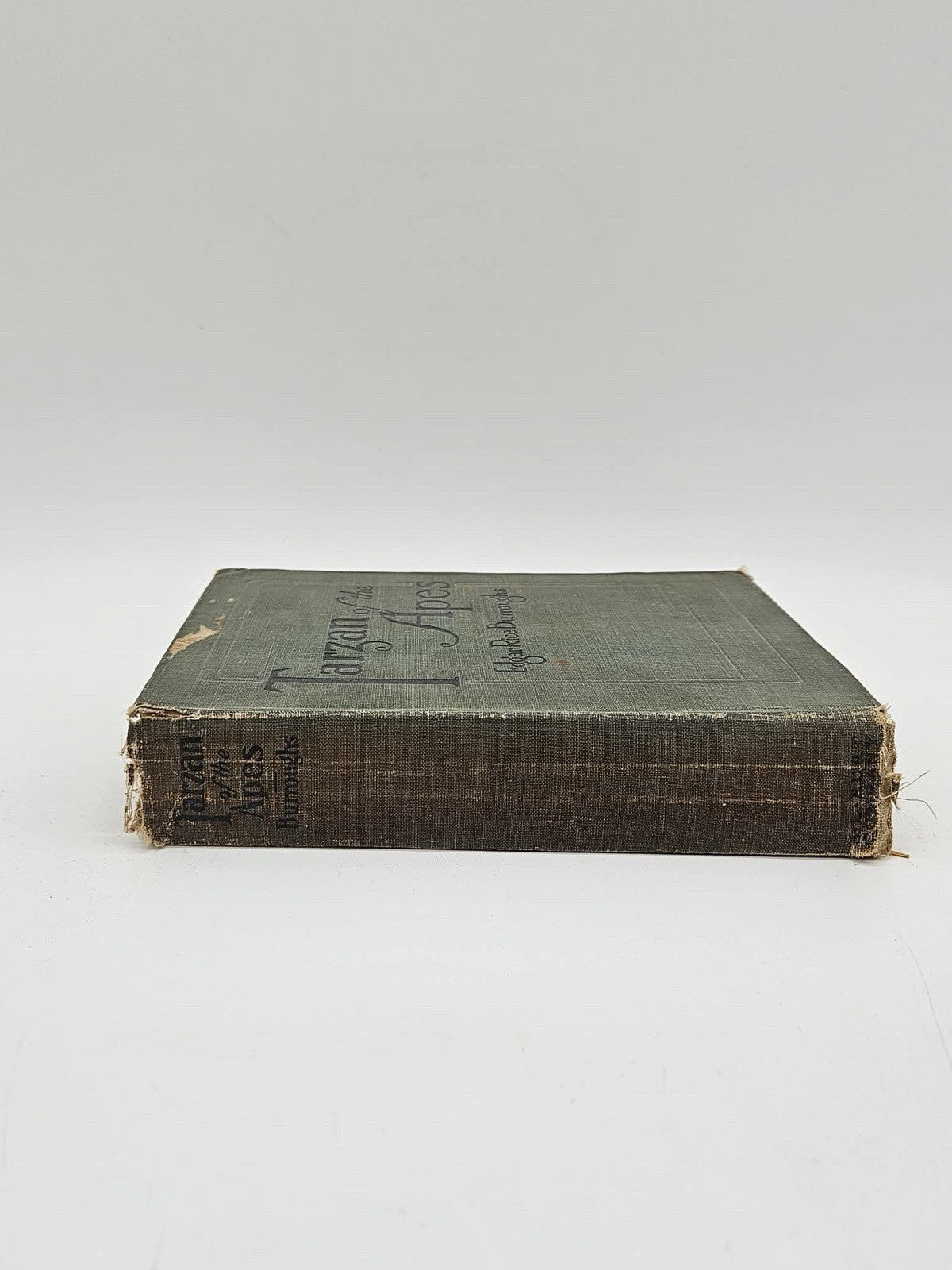 Tarzan of the Apes 1914 First Edition