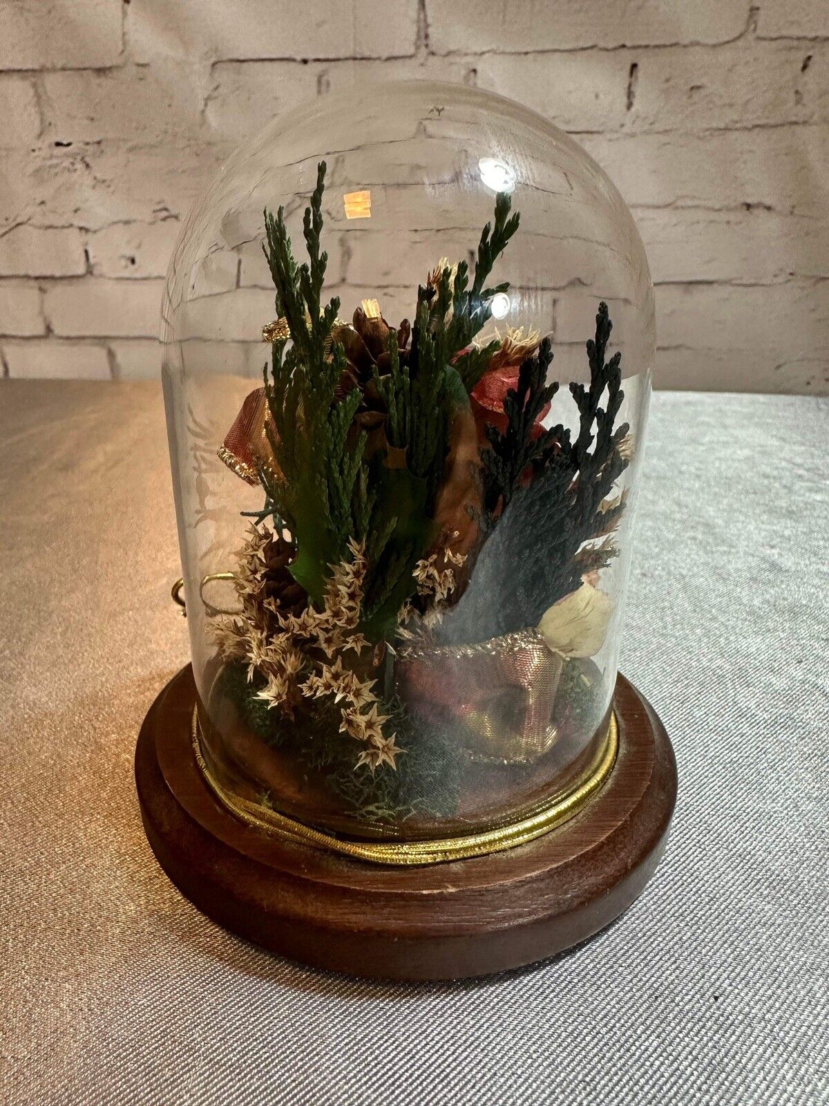 Natural Expressions Jar Cloche Display Died Flowers Plants TNO VHD