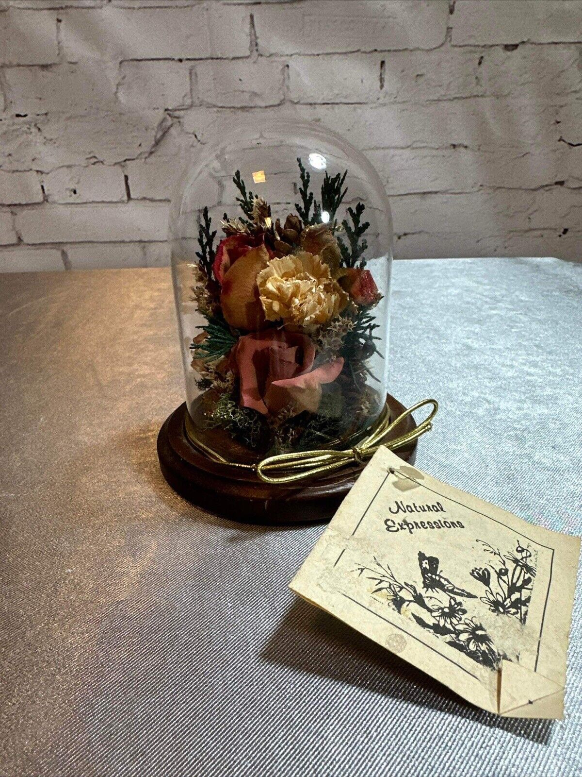 Natural Expressions Jar Cloche Display Died Flowers Plants TNO VHD
