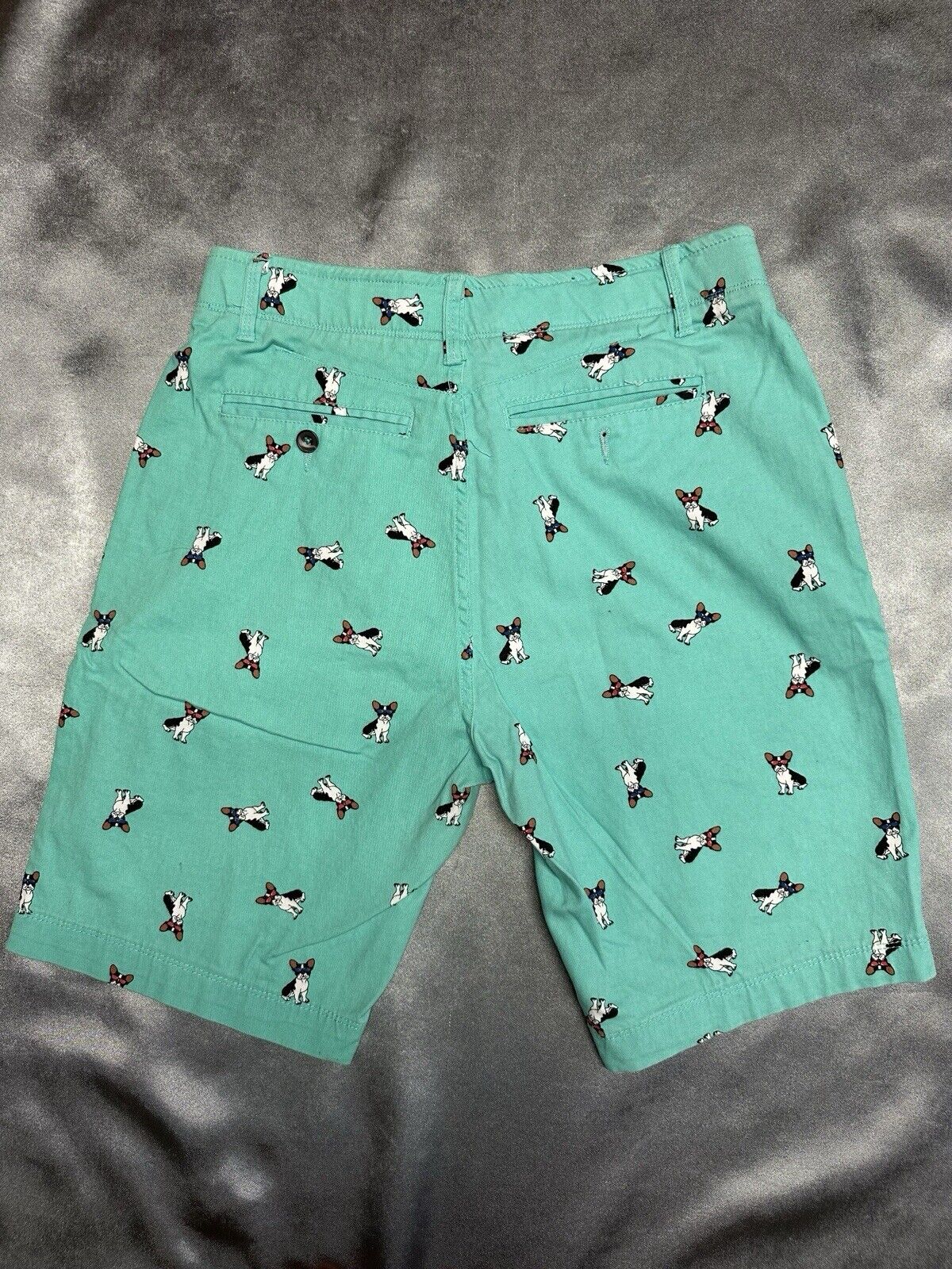 Plugg Flex Mens Casual Shorts Size 29 Teal French Dog Flat Front Waist MCLTH 001