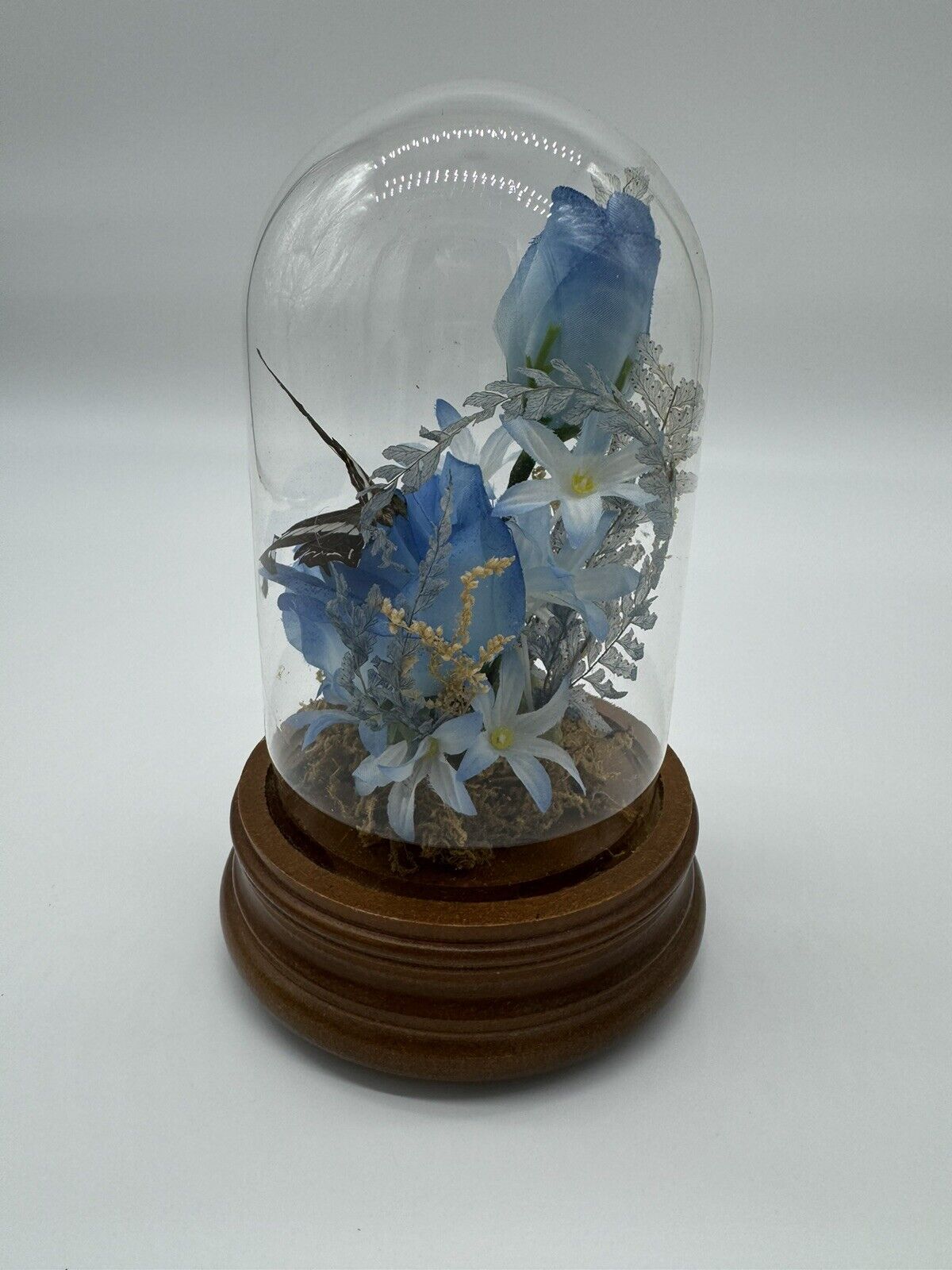 Vintage Taxidermy Butterfly Terrarium Light Up Music Box Glass Dome
