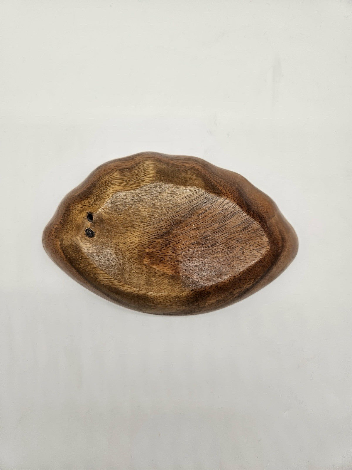 VINTAGE CAPIZ SHELL