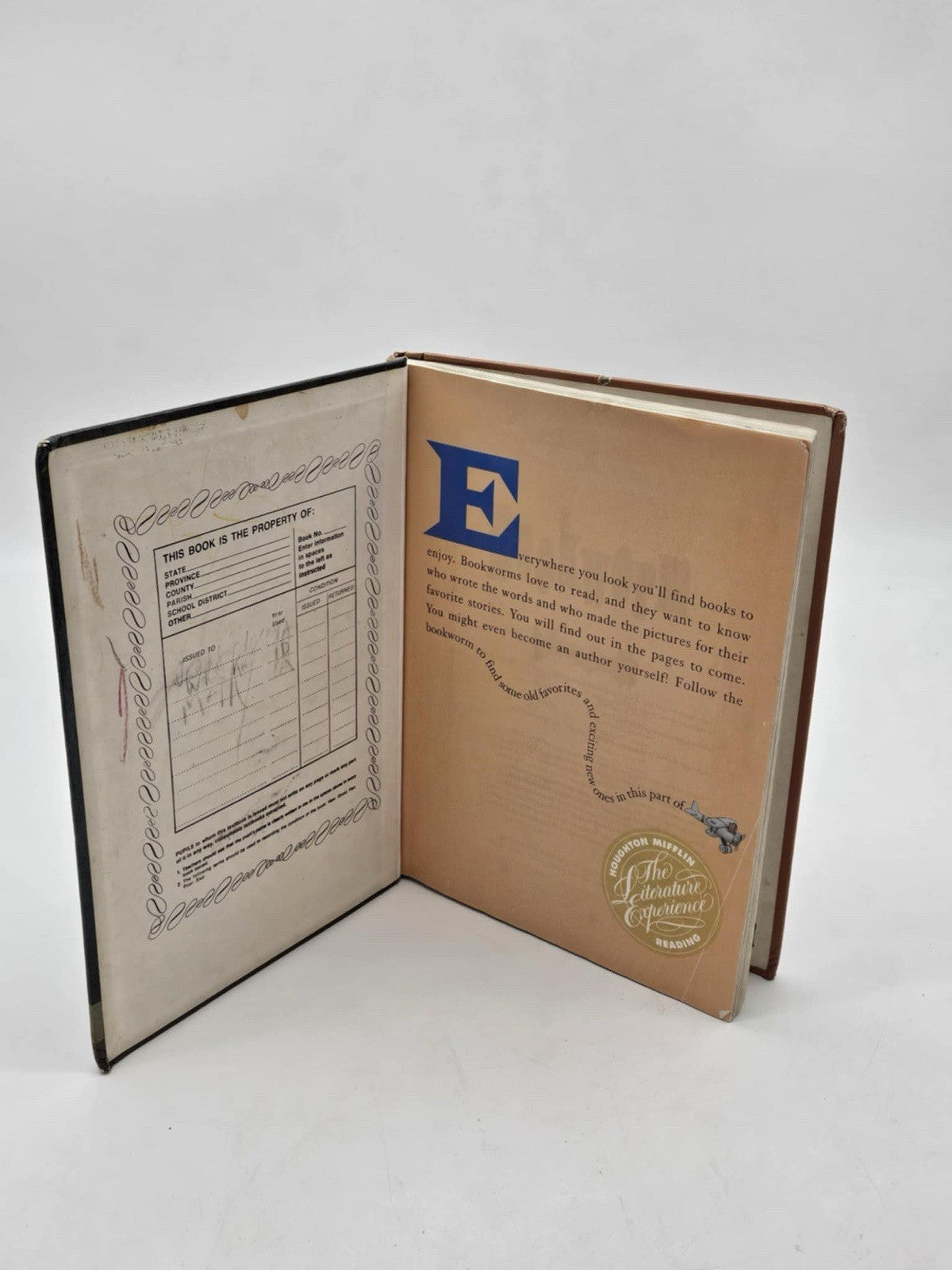 Bookworm by John J Pikulski, HOUGHTON MIFFLIN READING hc