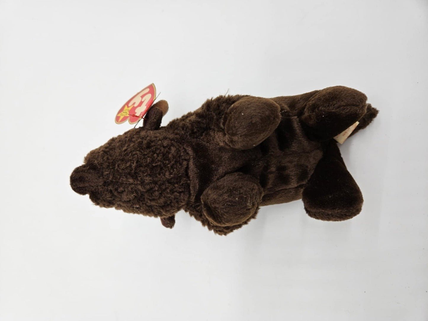 TY Beanie Original Baby 1998 "Roam" The Buffalo-Stamped Tush Tag 110