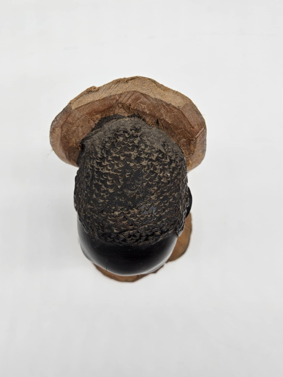 African Tribal Head Sculpture Ebony Wood