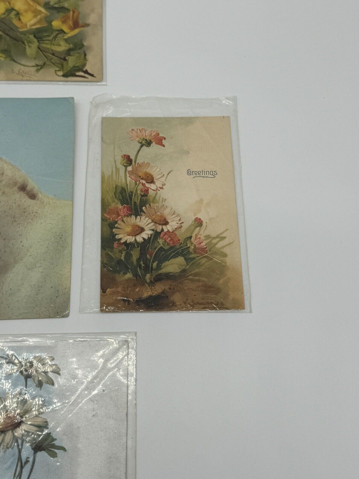 Lot of 8 Vintage Antique Postcards ~ Art Project Material
