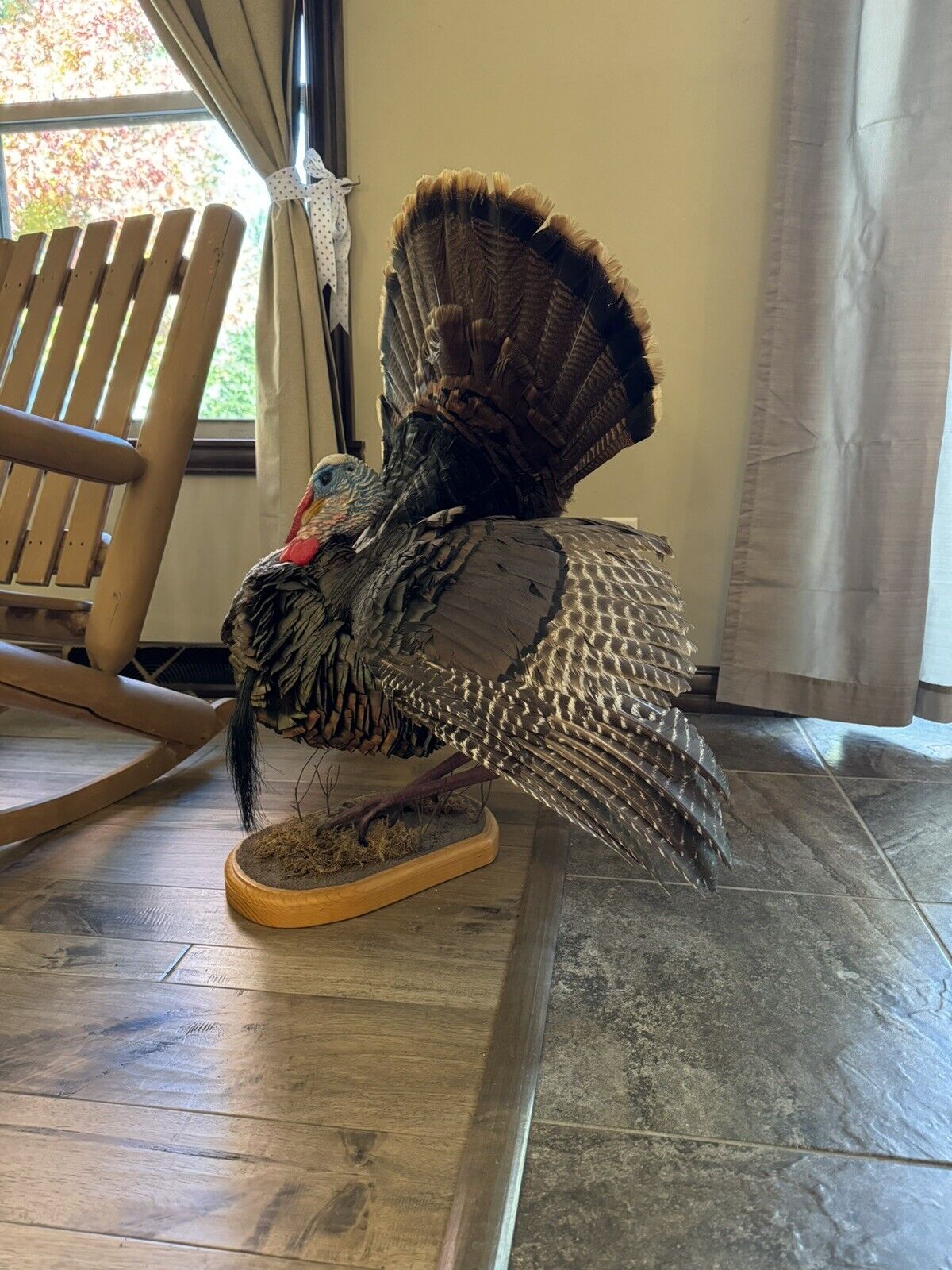 Full Body Eastern Wild Turkey Taxidermy Mount