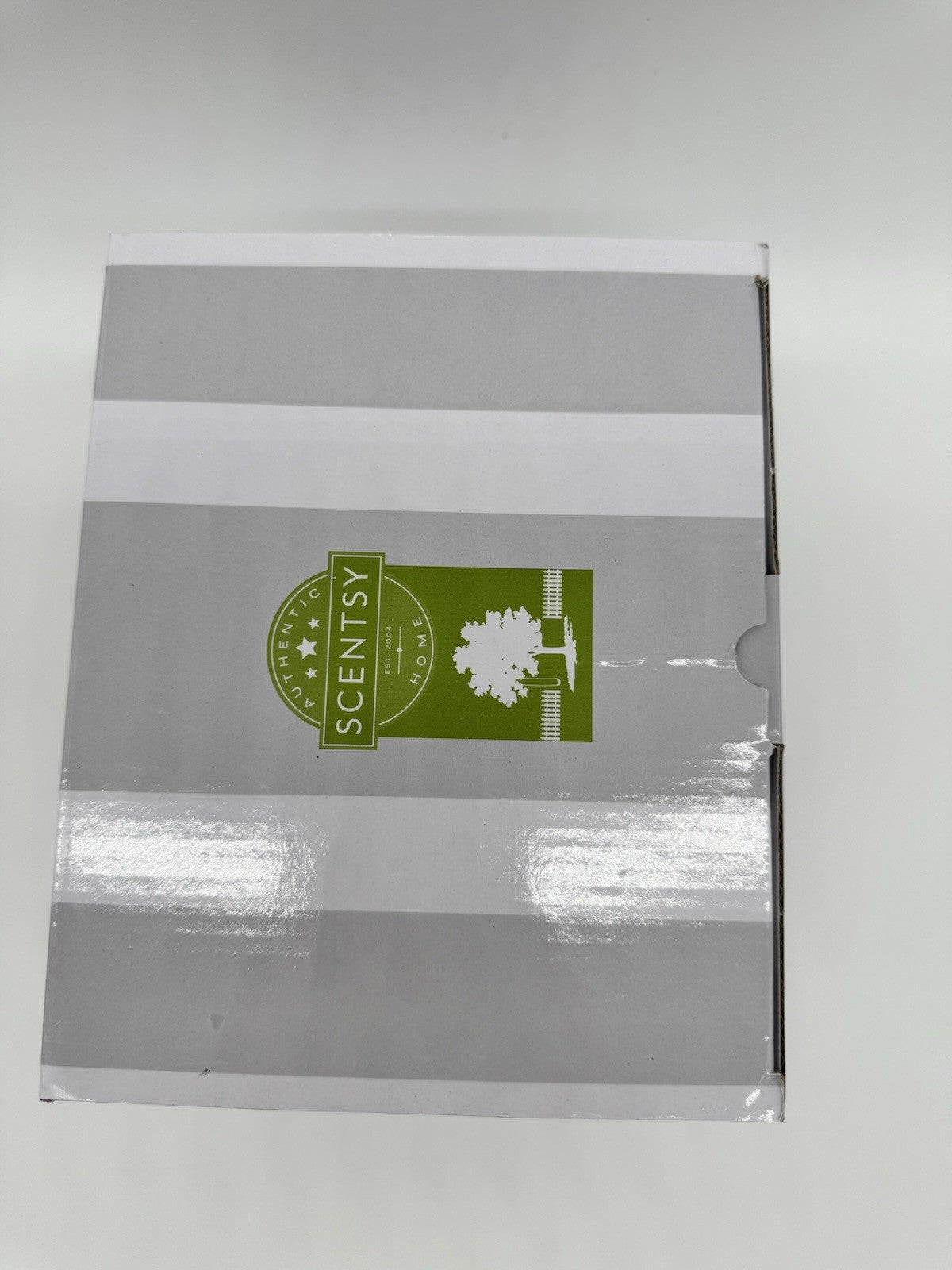 Scentsy Under My Spell Warmer Potion Book Of Shadows Basic Spells Book Stack