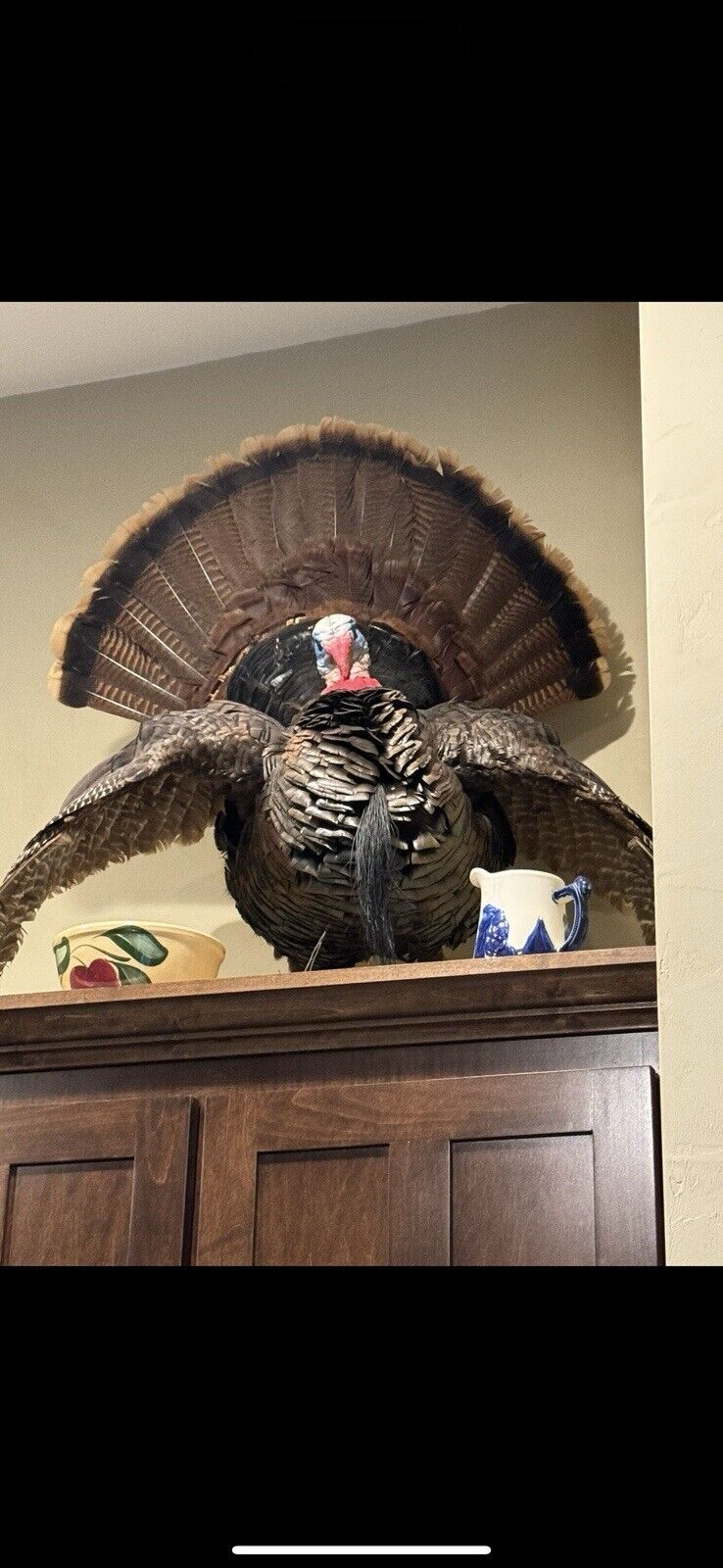 Full Body Eastern Wild Turkey Taxidermy Mount