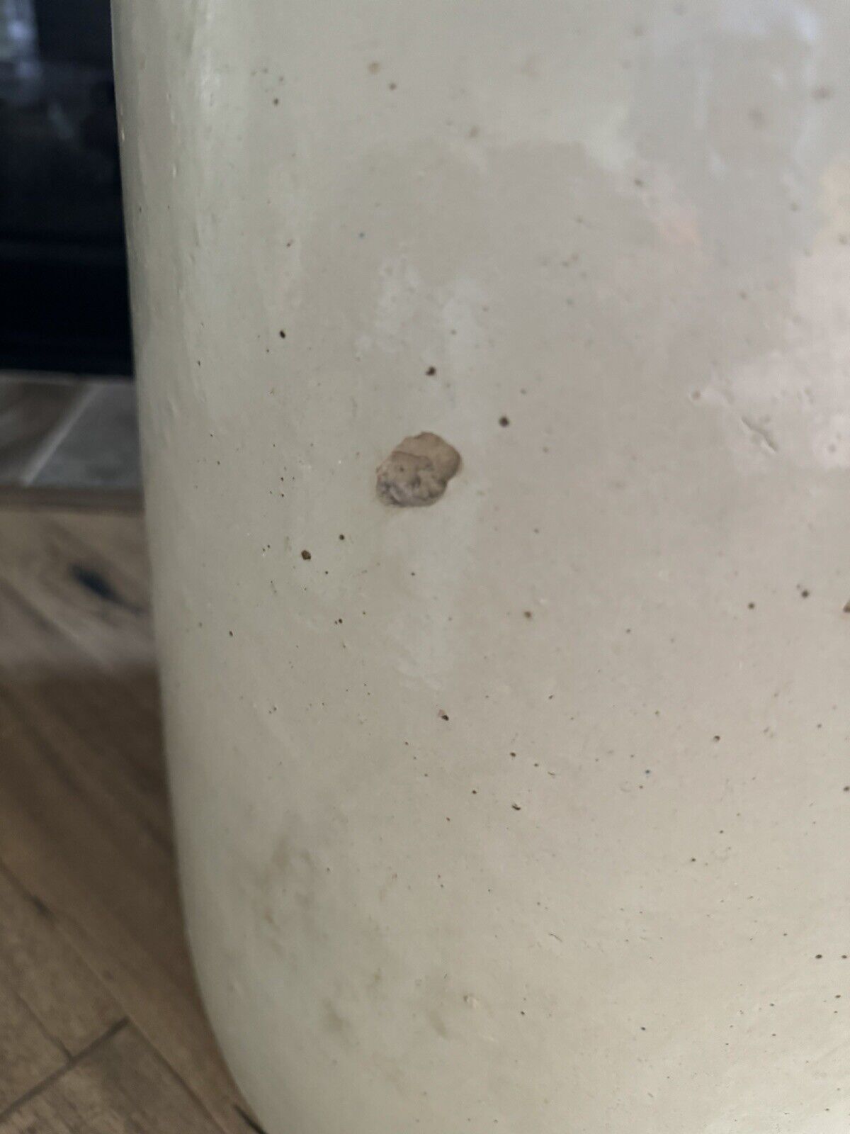 Antique 15 Gallon Birch Leaf Stoneware Antique Red Wing Crock