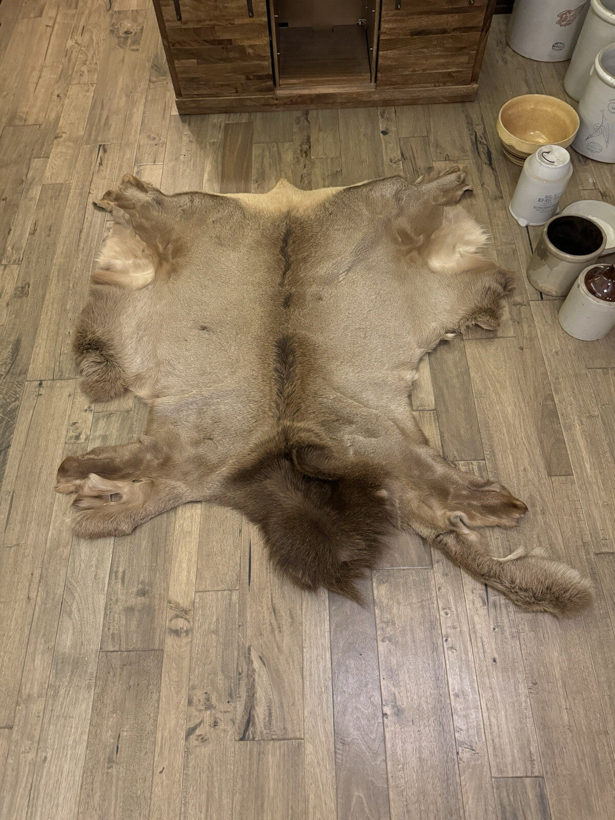 Gorgeous Elk Taxidermy, Cape, Hide