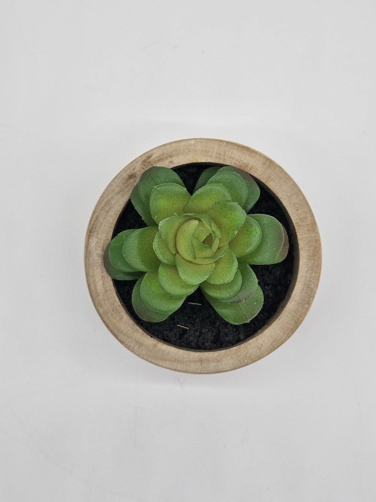Threshold Faux Succulent Lifelike Plastic Greenery in Wooden Vase