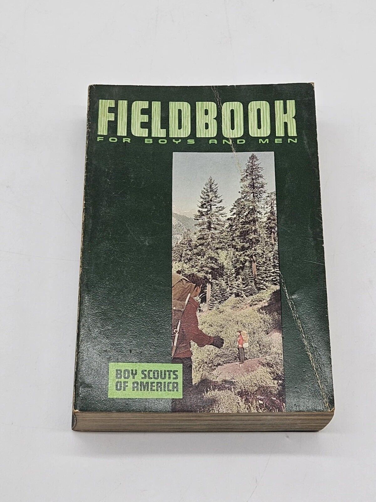 Vintage Fieldbook for Boys and Men 1967 Boy Scouts of America