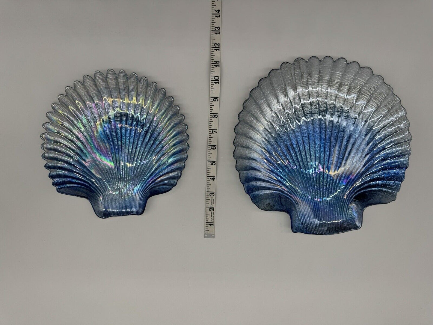 Glass Sea Shell Iridescent, Shimmery, Holographic, Opalescent effect