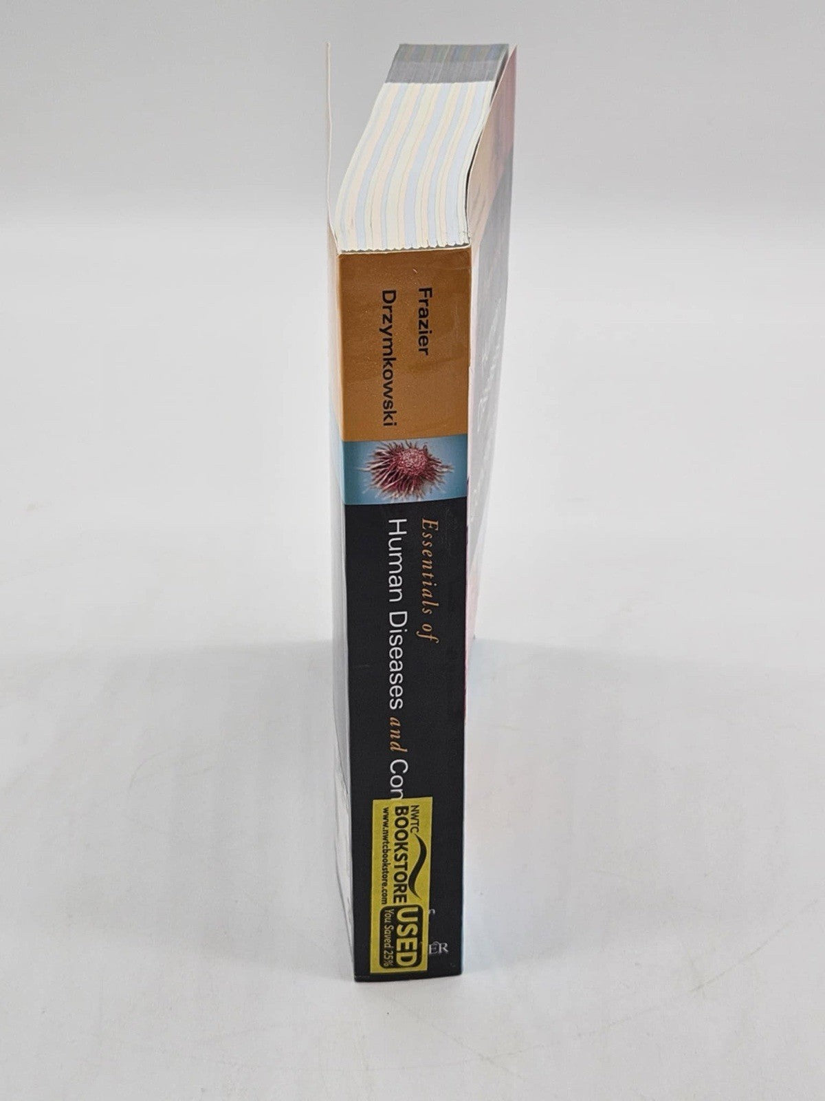 Essentials of Human Diseases and Conditions - Sixth Edition - Preowned